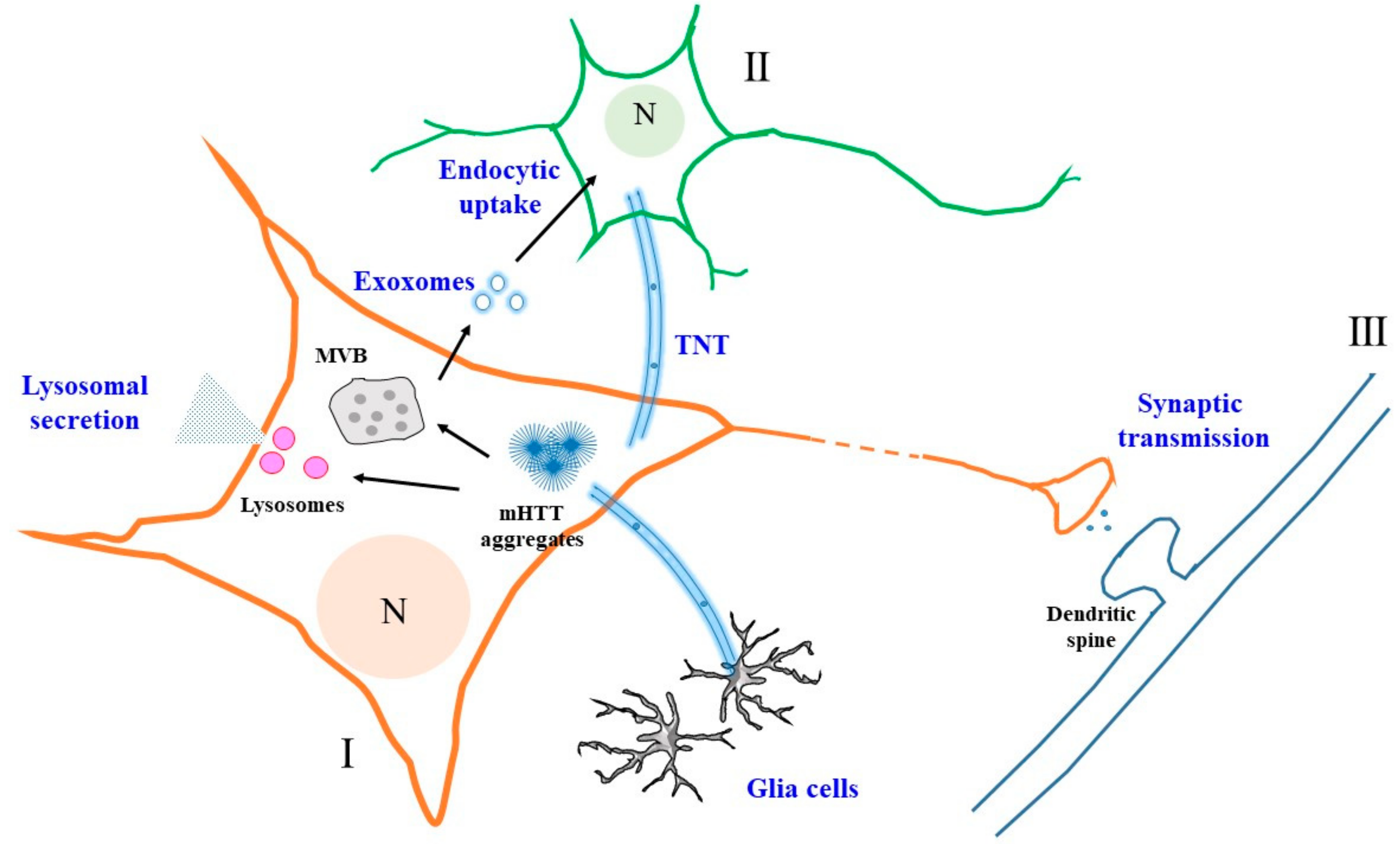 Cells 07 00059 g001 Cells 07 00059 g001