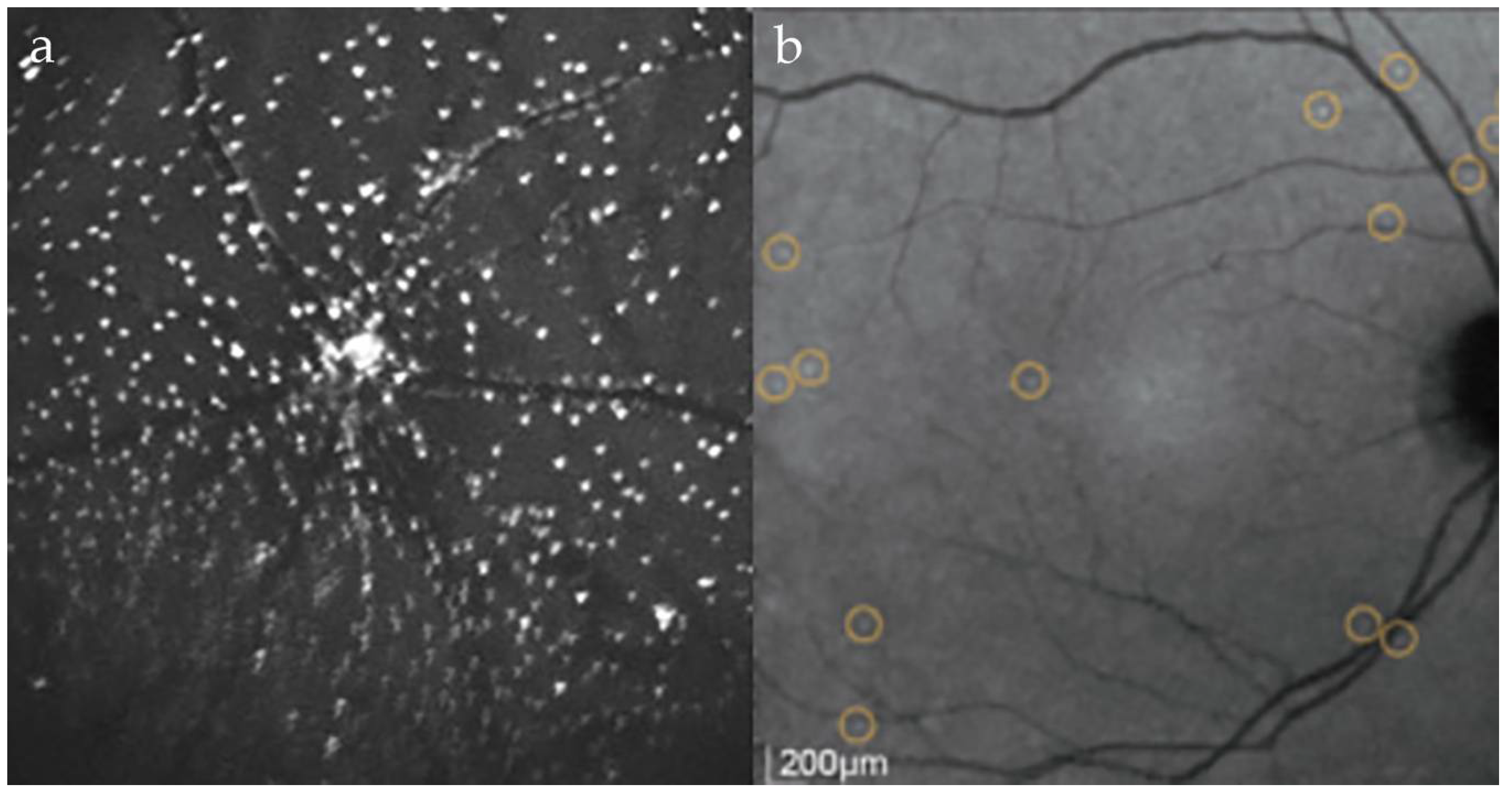 Cells 07 00060 g001 Cells 07 00060 g001