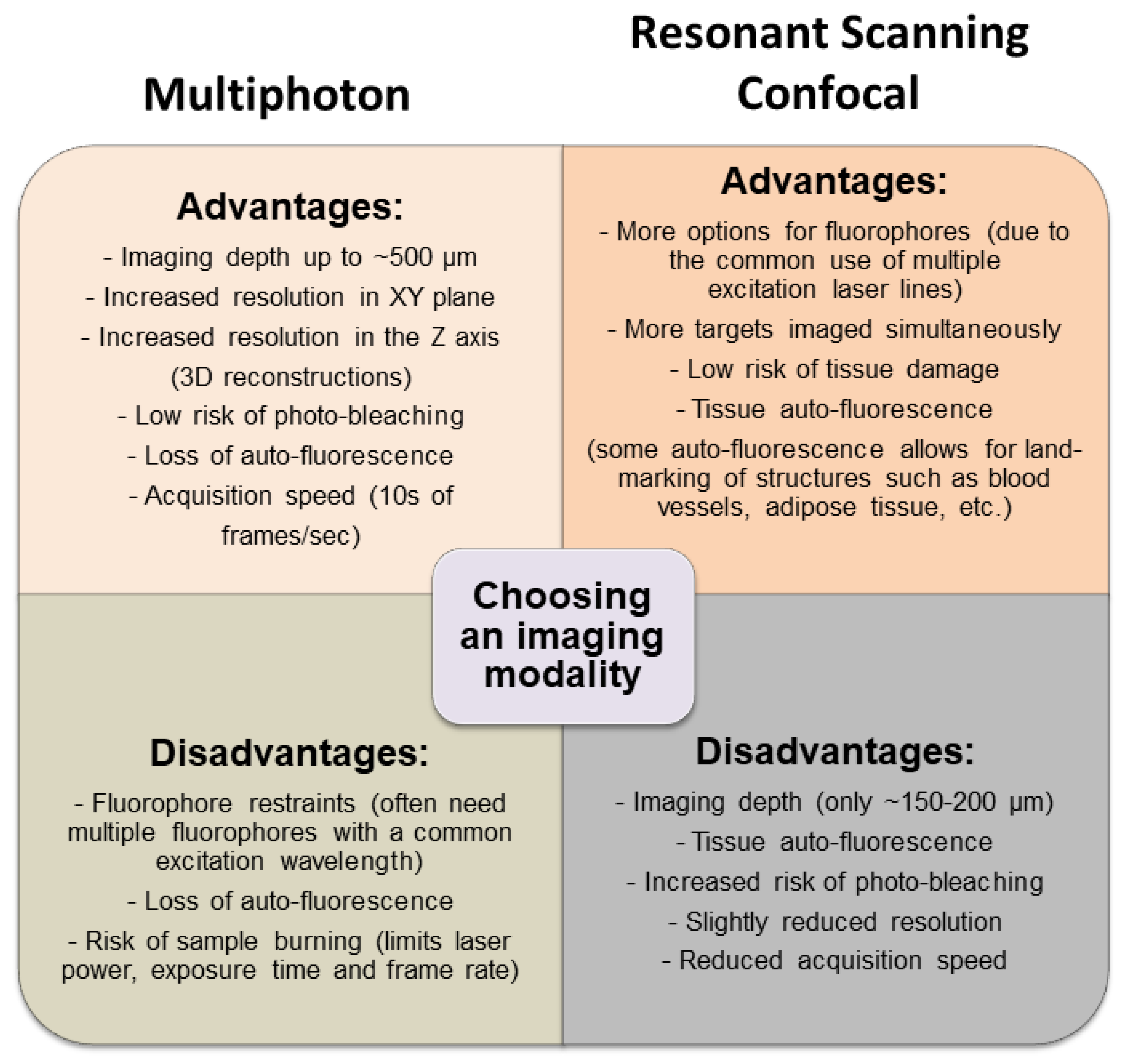Cells 07 00069 g006 Cells 07 00069 g006
