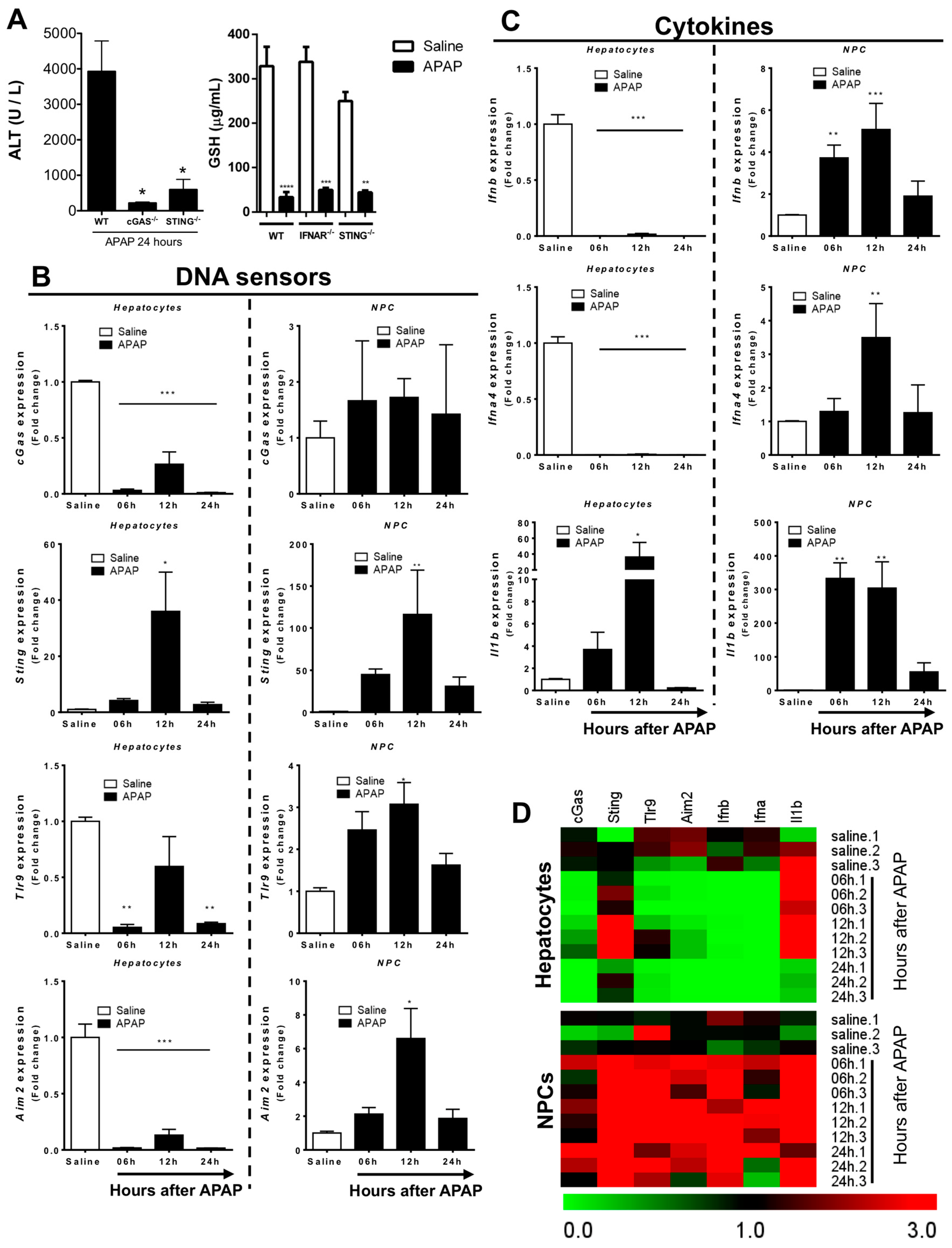 Cells 07 00088 g004