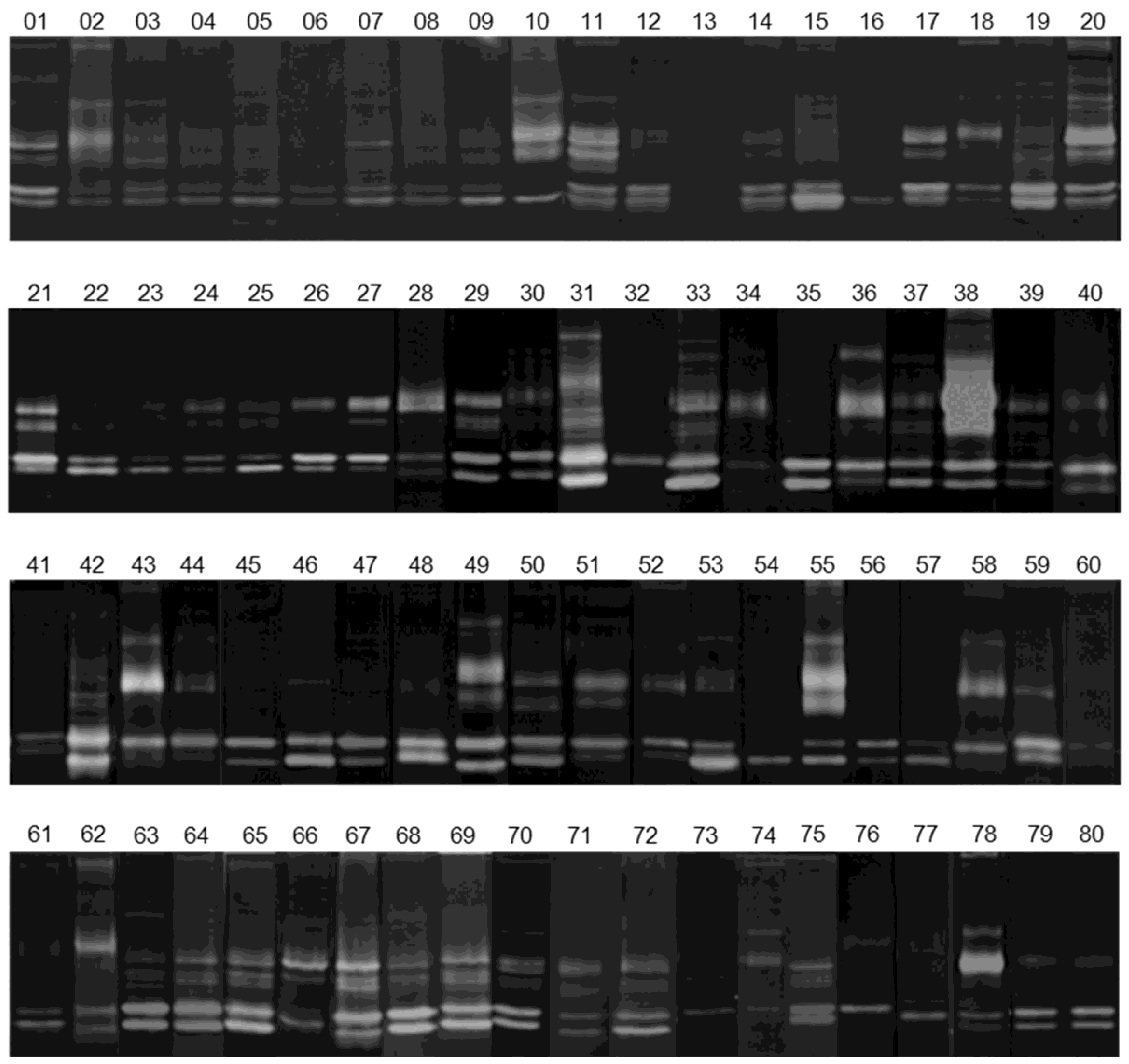 Cells 07 00089 g003