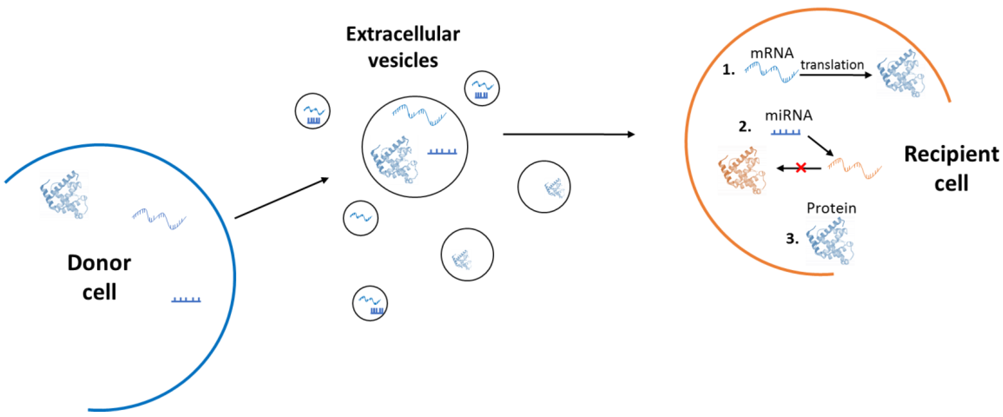 Cells 07 00110 g002