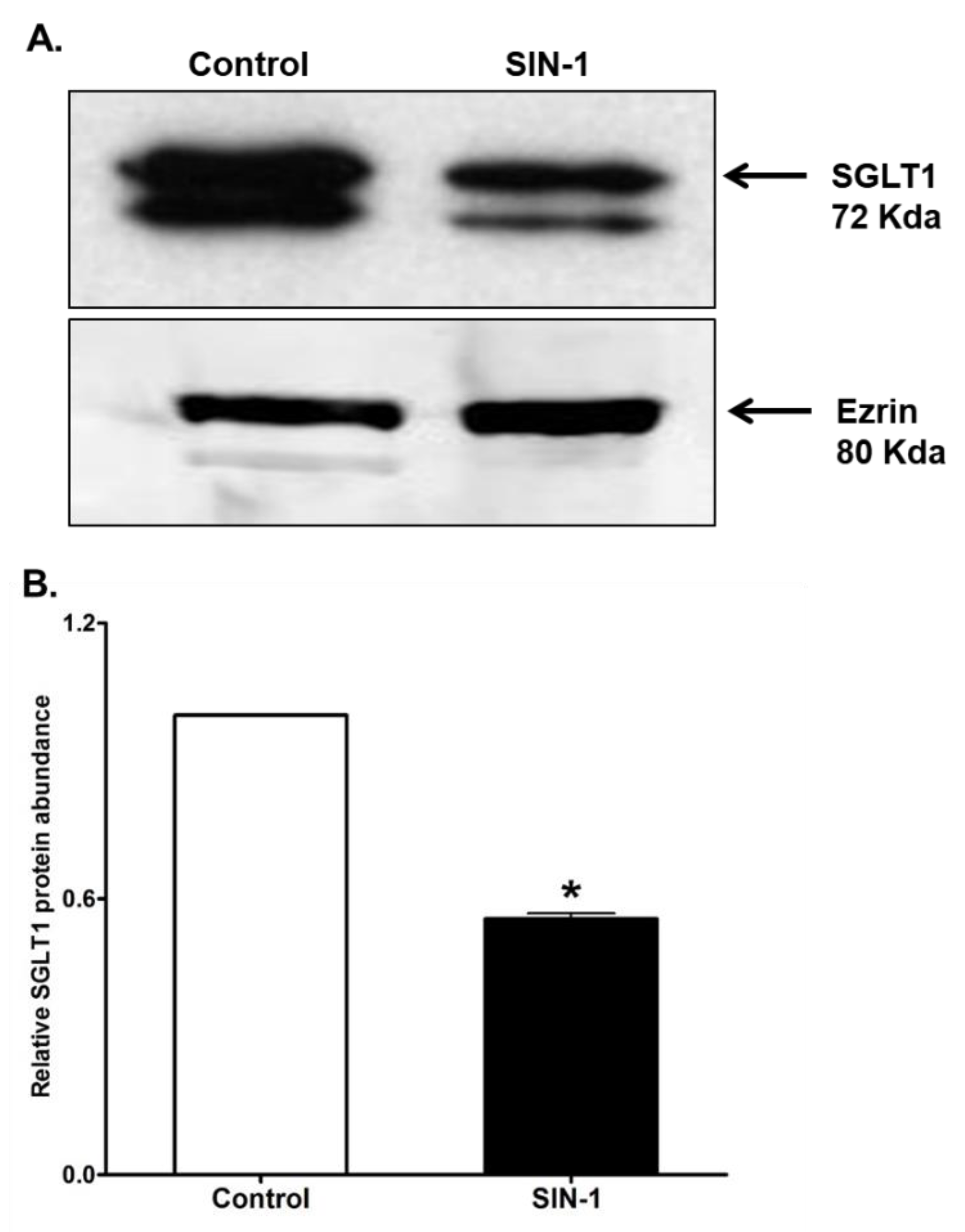 Cells 07 00111 g007