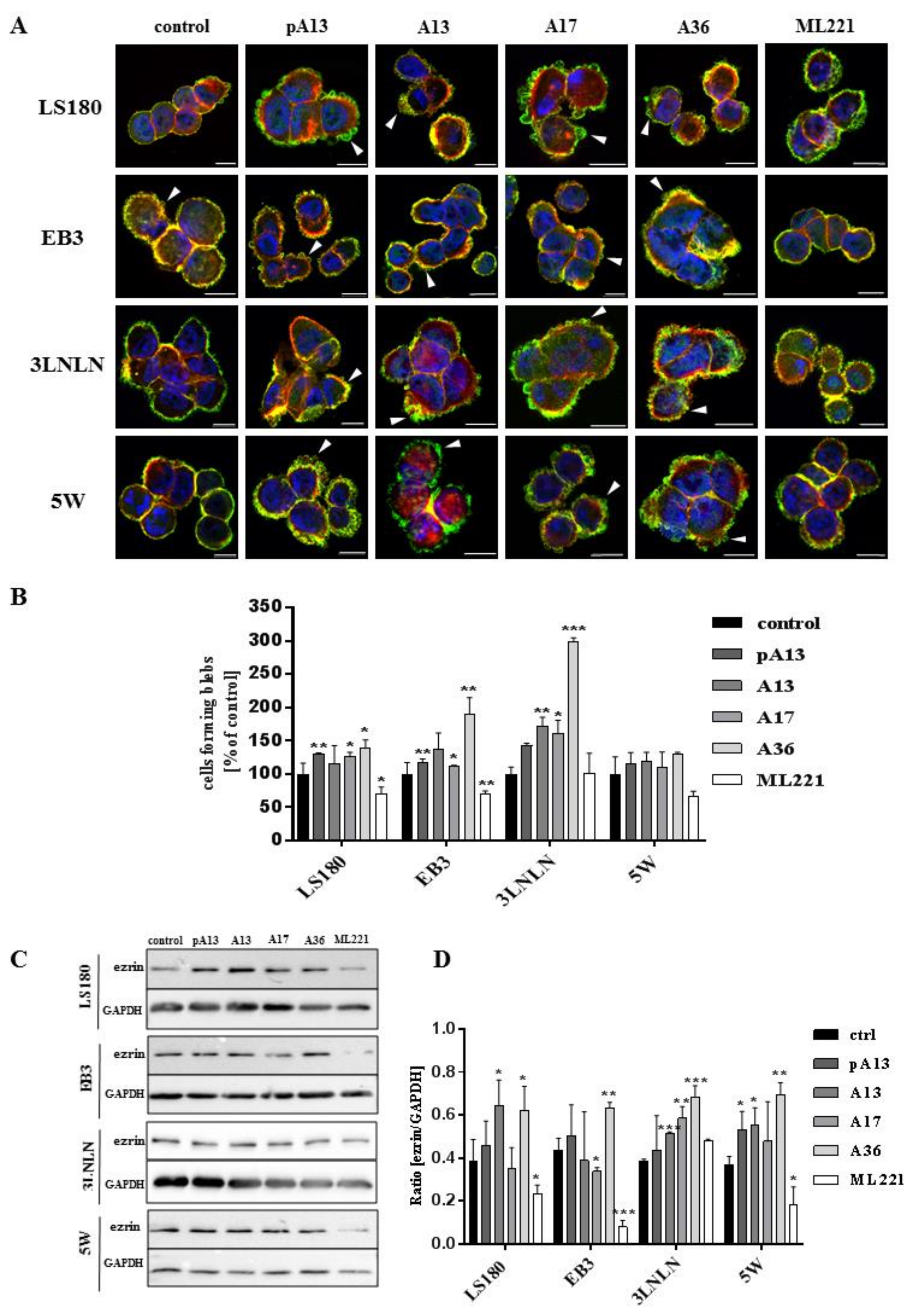 Cells 07 00113 g002