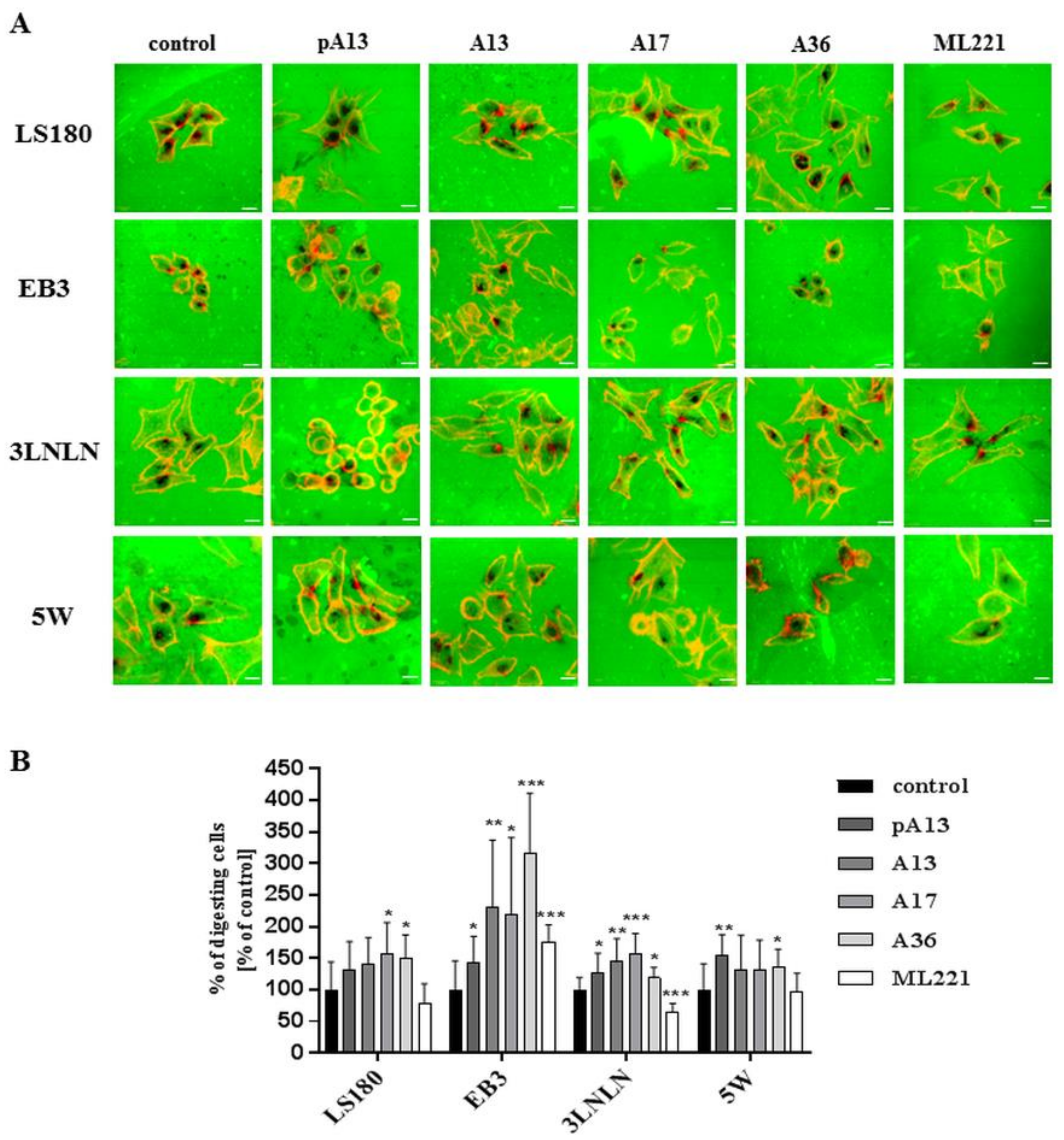 Cells 07 00113 g004