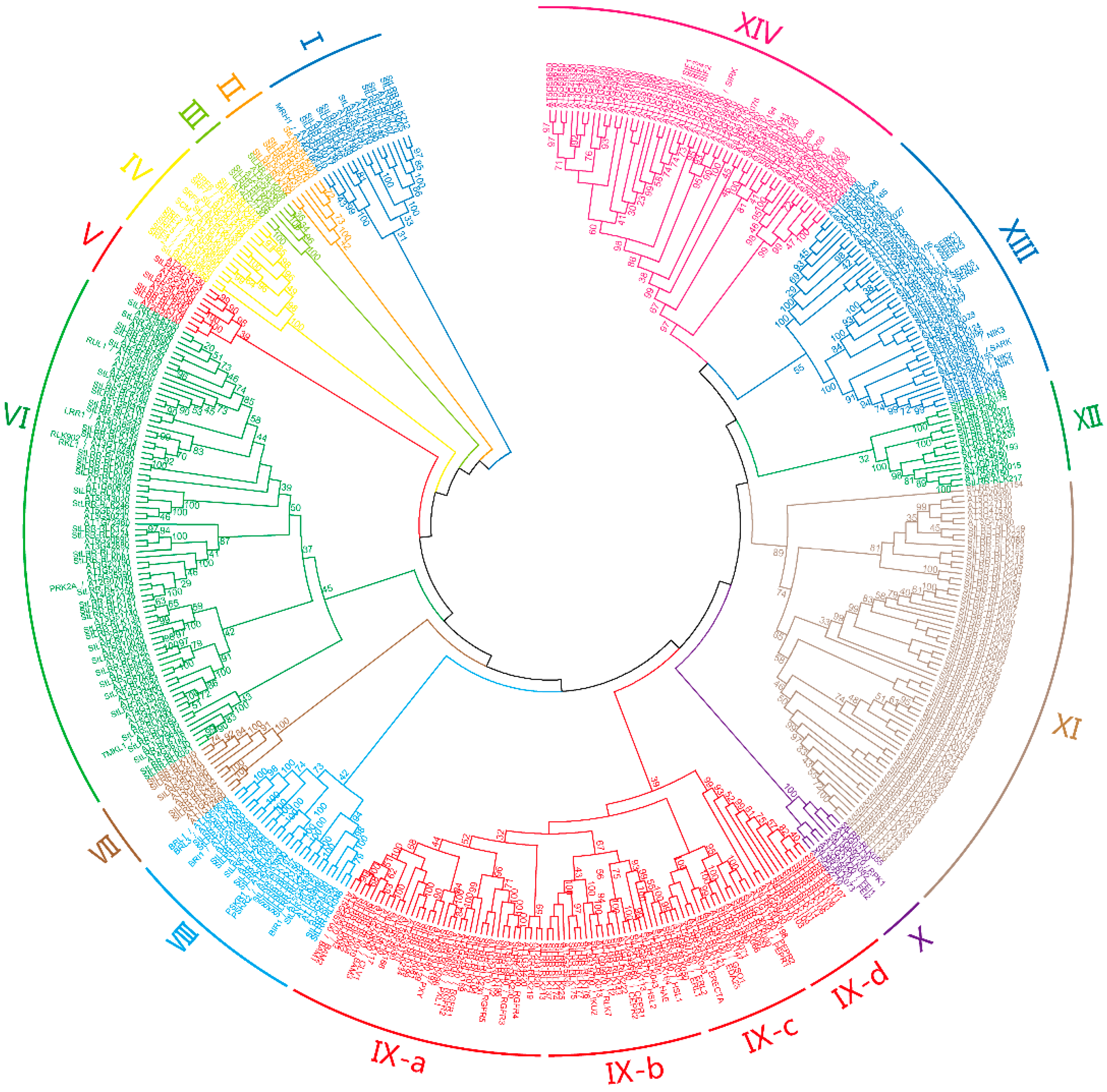 Cells 07 00120 g001