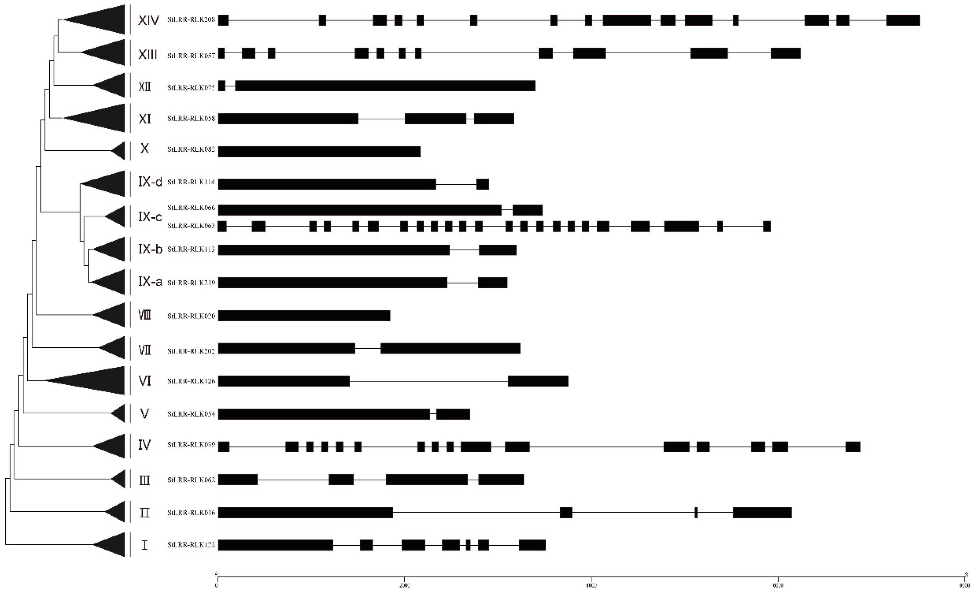 Cells 07 00120 g003