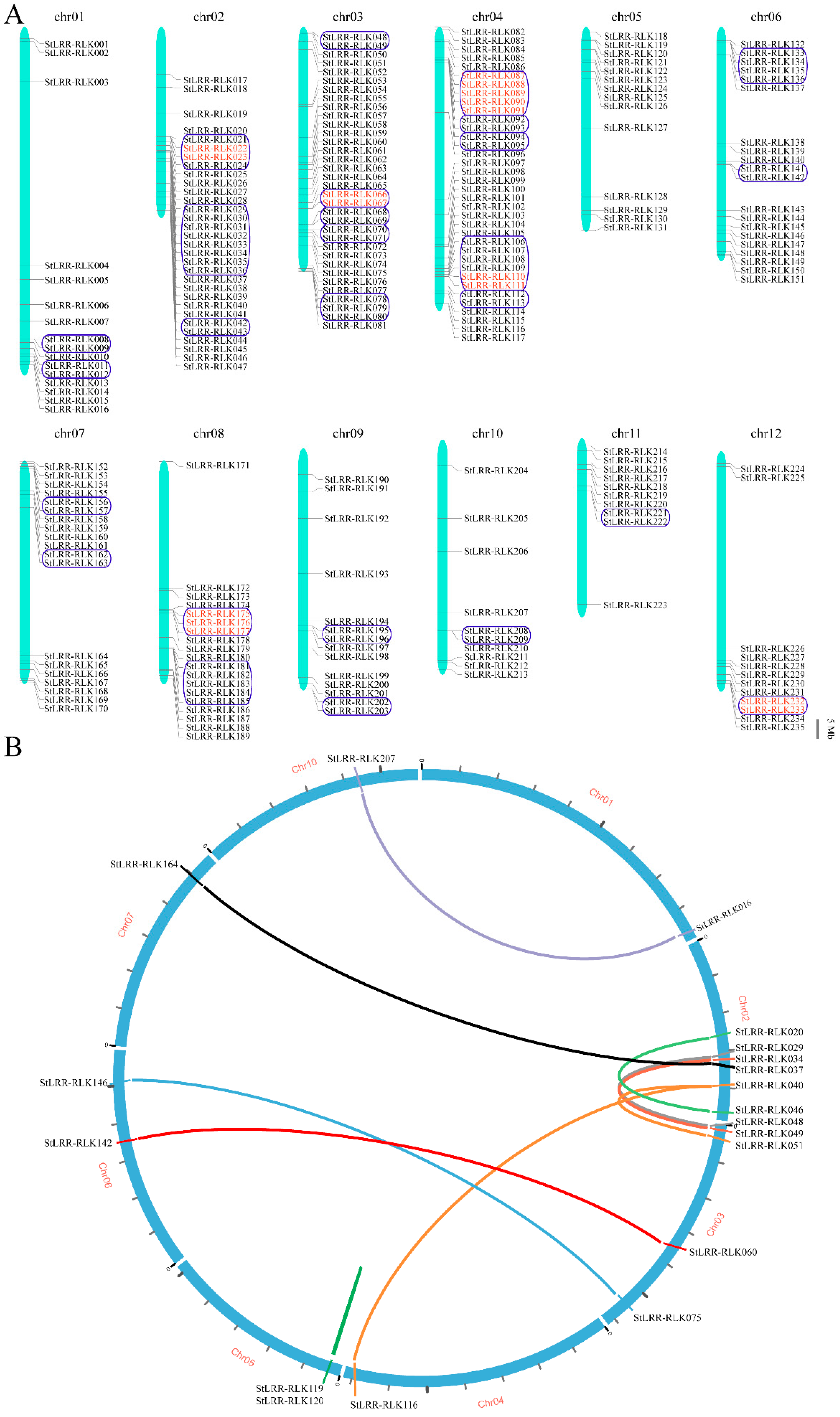 Cells 07 00120 g004