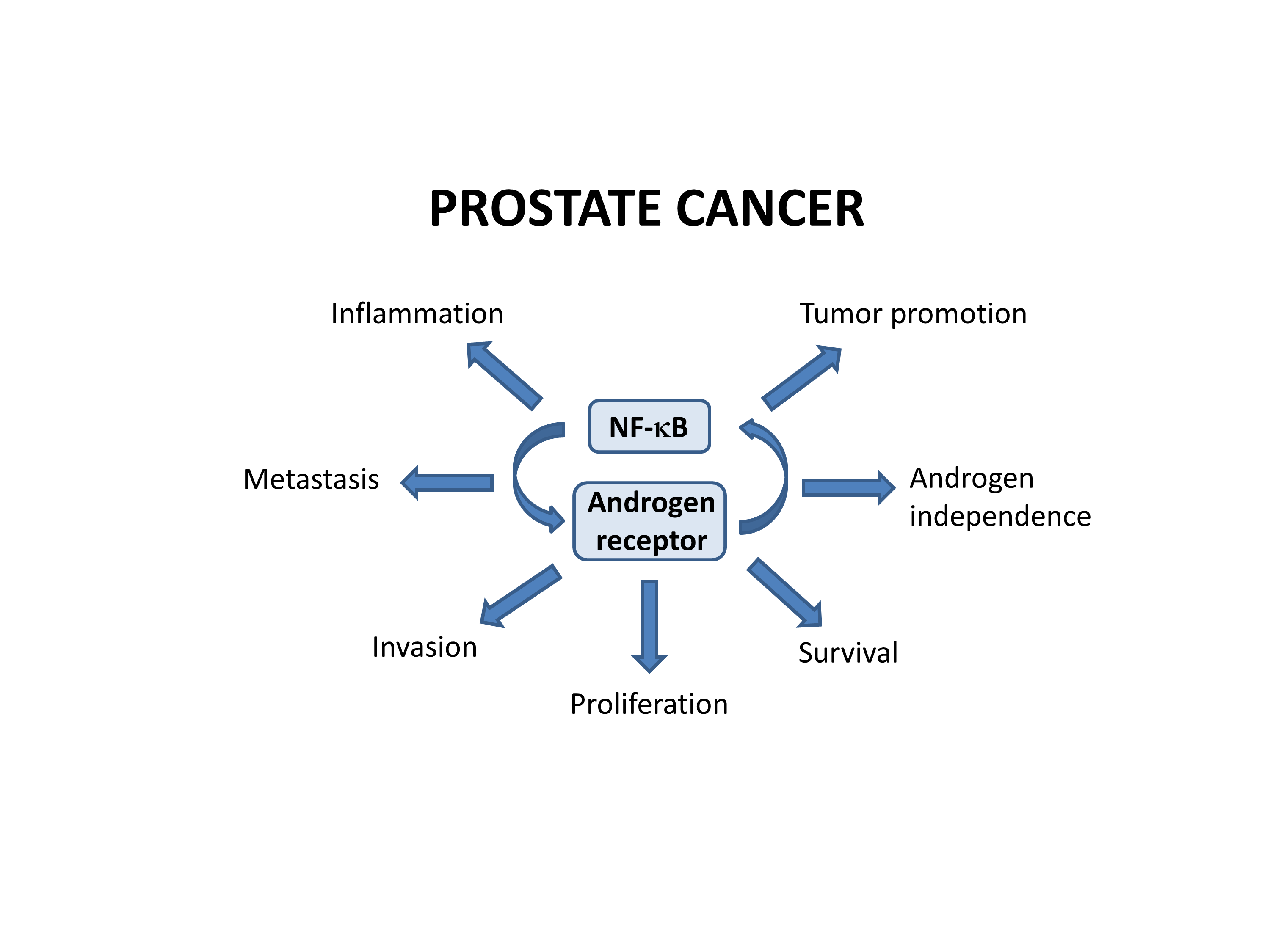 Radioligiai Praktikum PDF