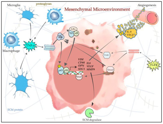 たかはし shRNA-armed conditionally replicative adenoviruses: a