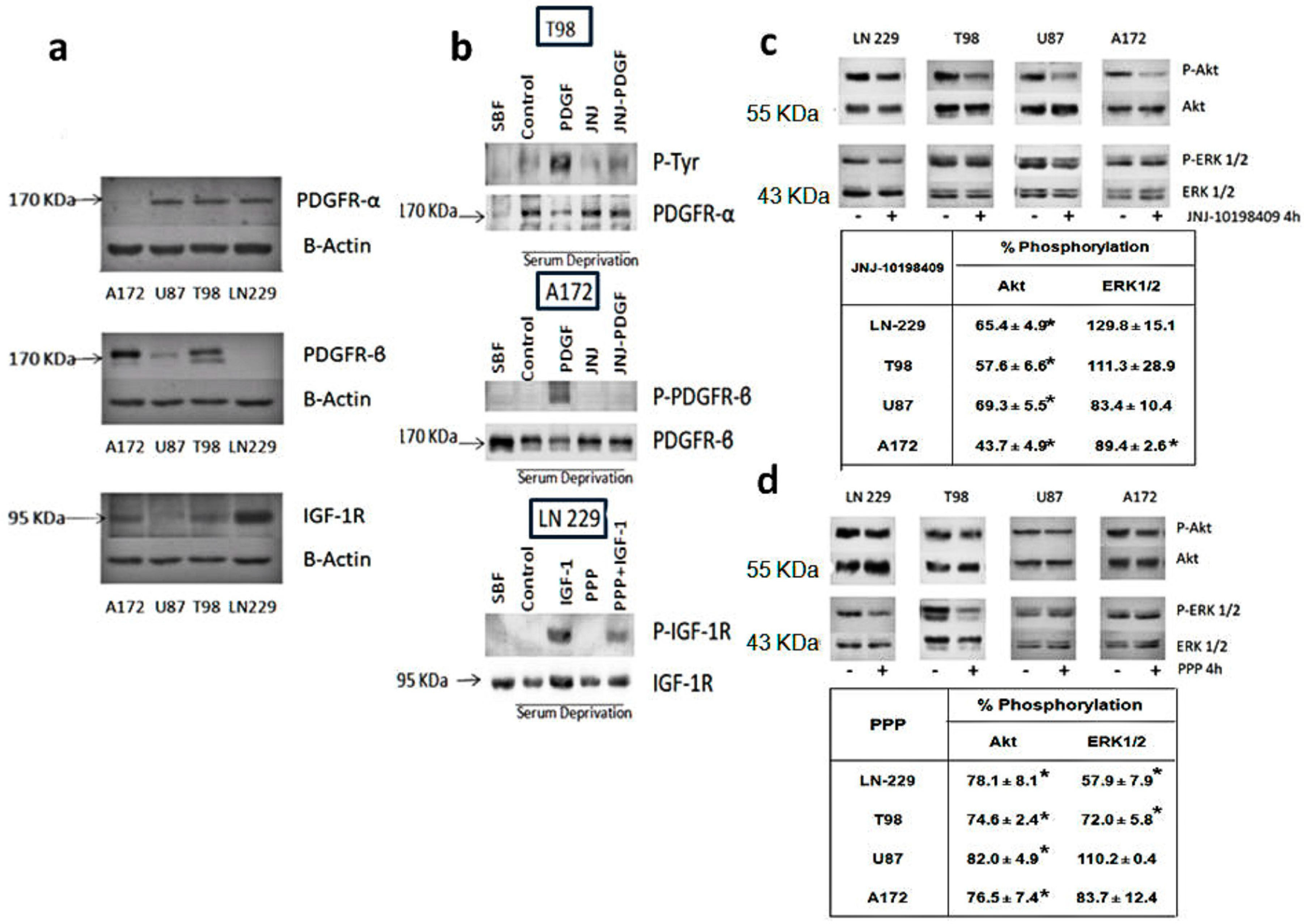 Cells 07 00131 g001 Cells 07 00131 g001