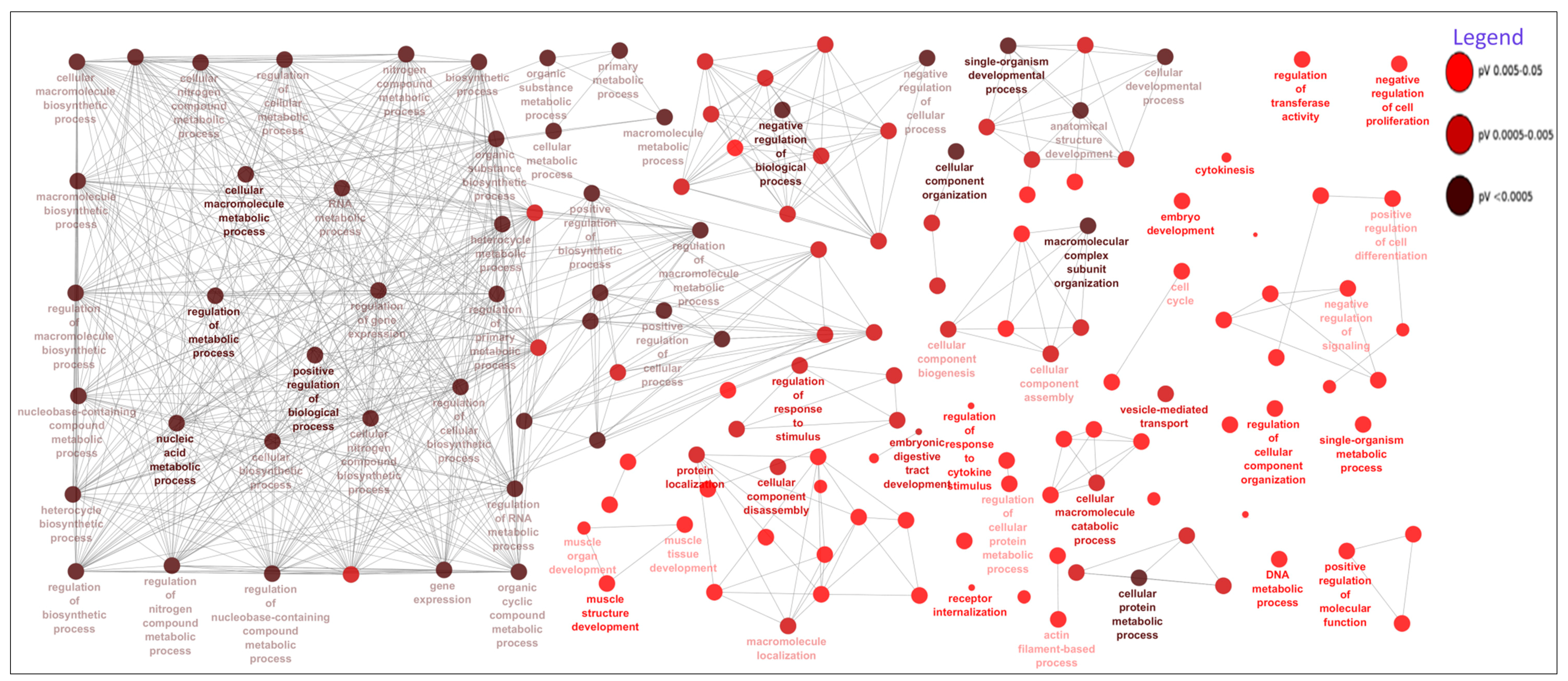 Cells 07 00134 g002 550