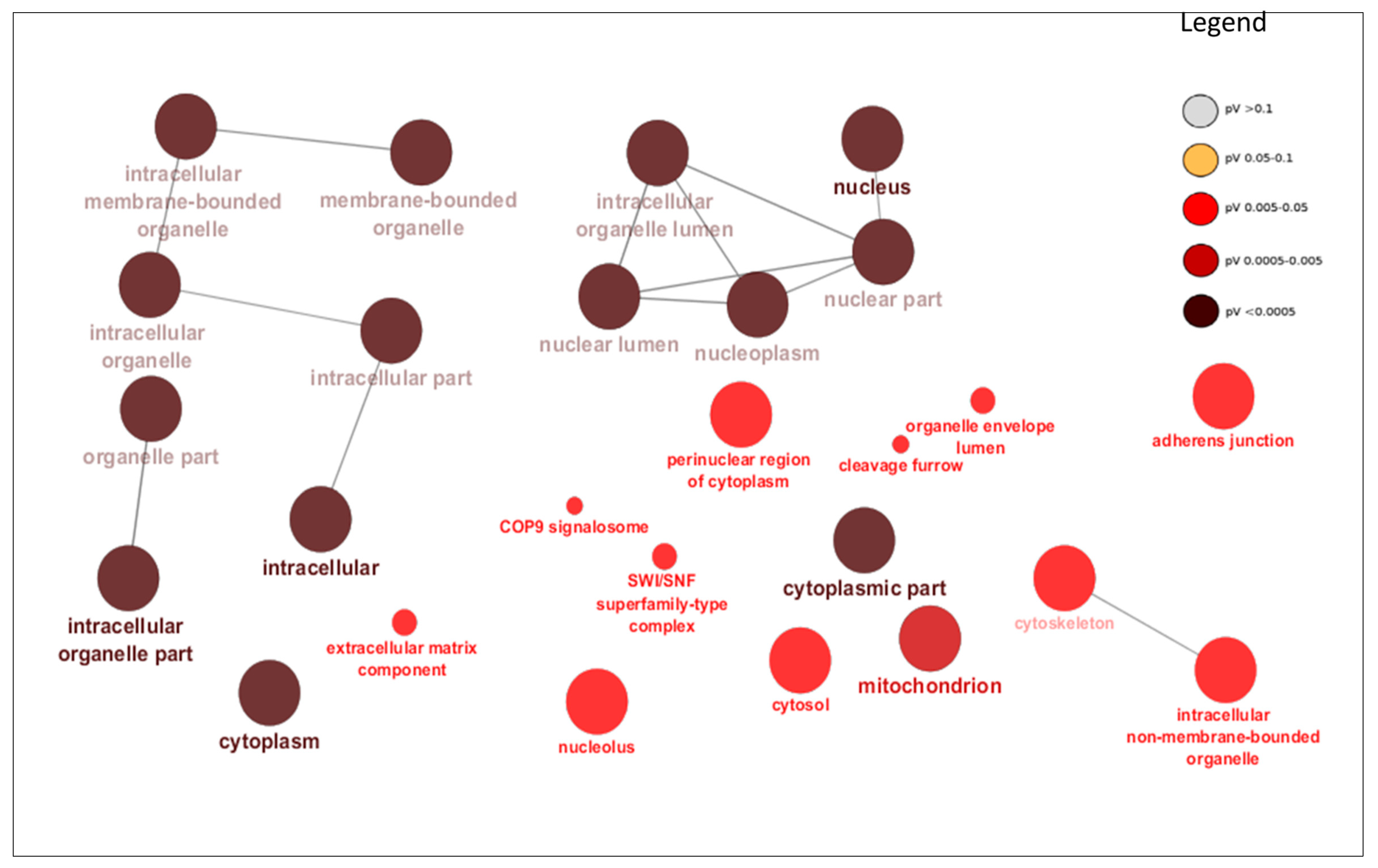 Cells 07 00134 g003 550