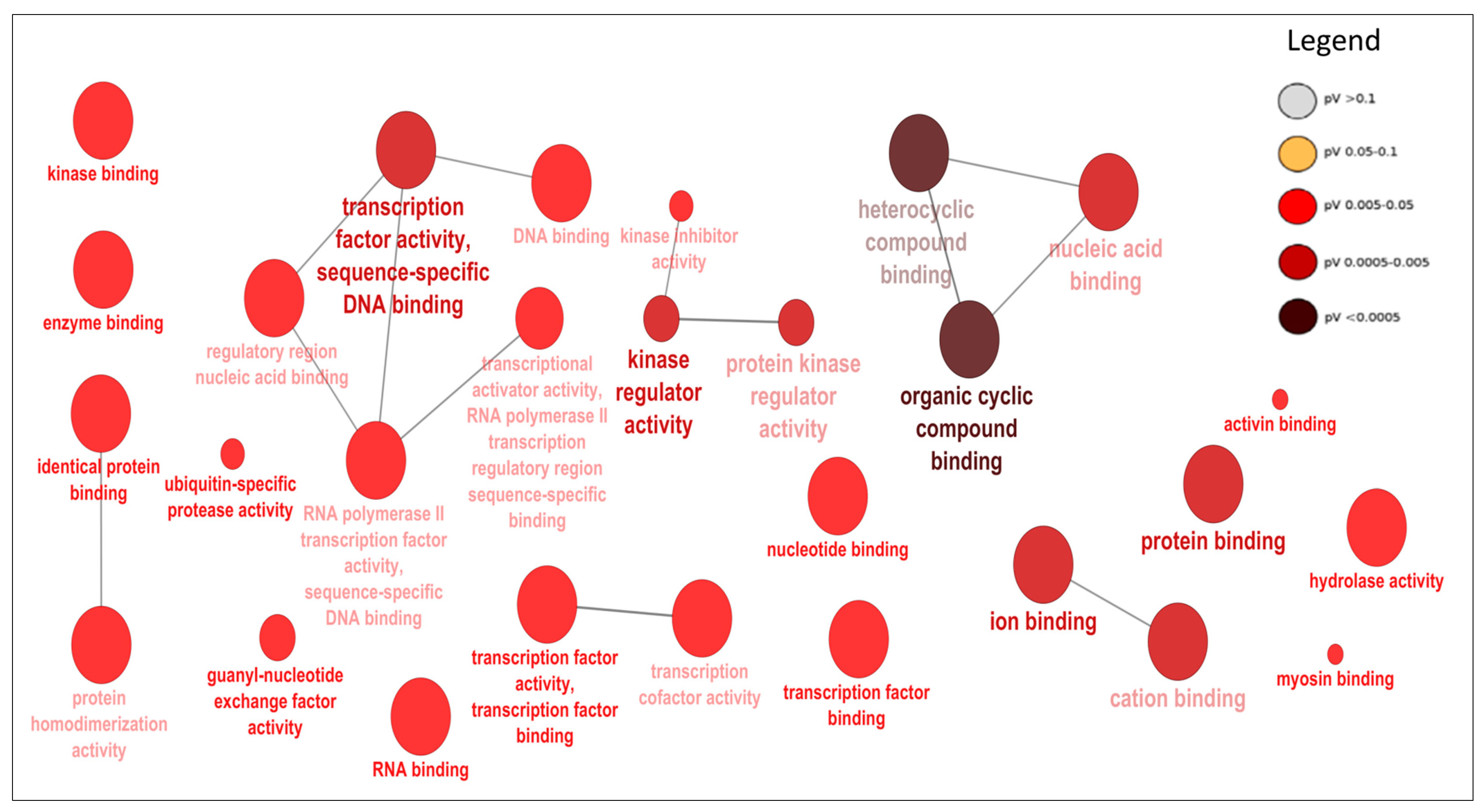 Cells 07 00134 g004 550