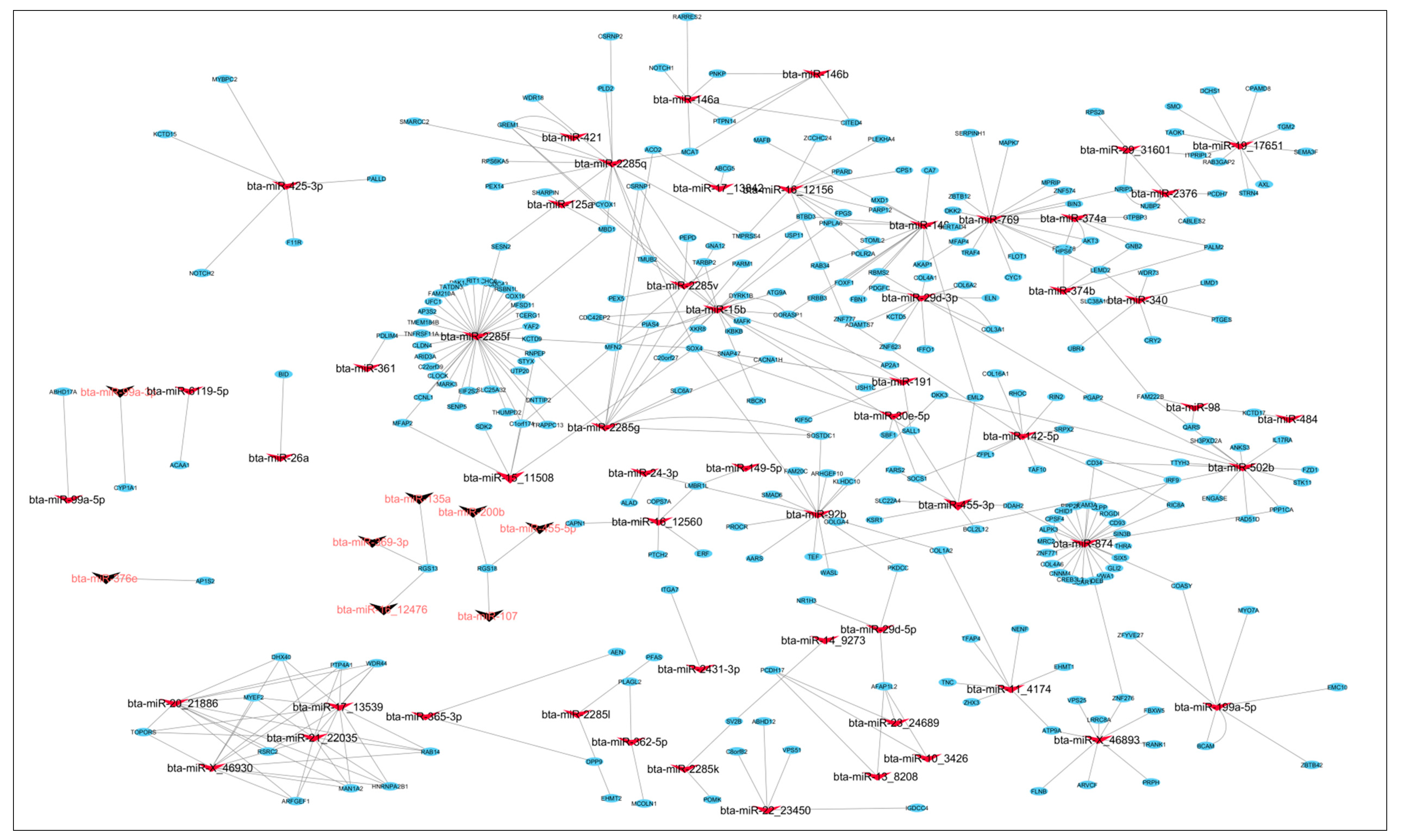 Cells 07 00134 g006 550