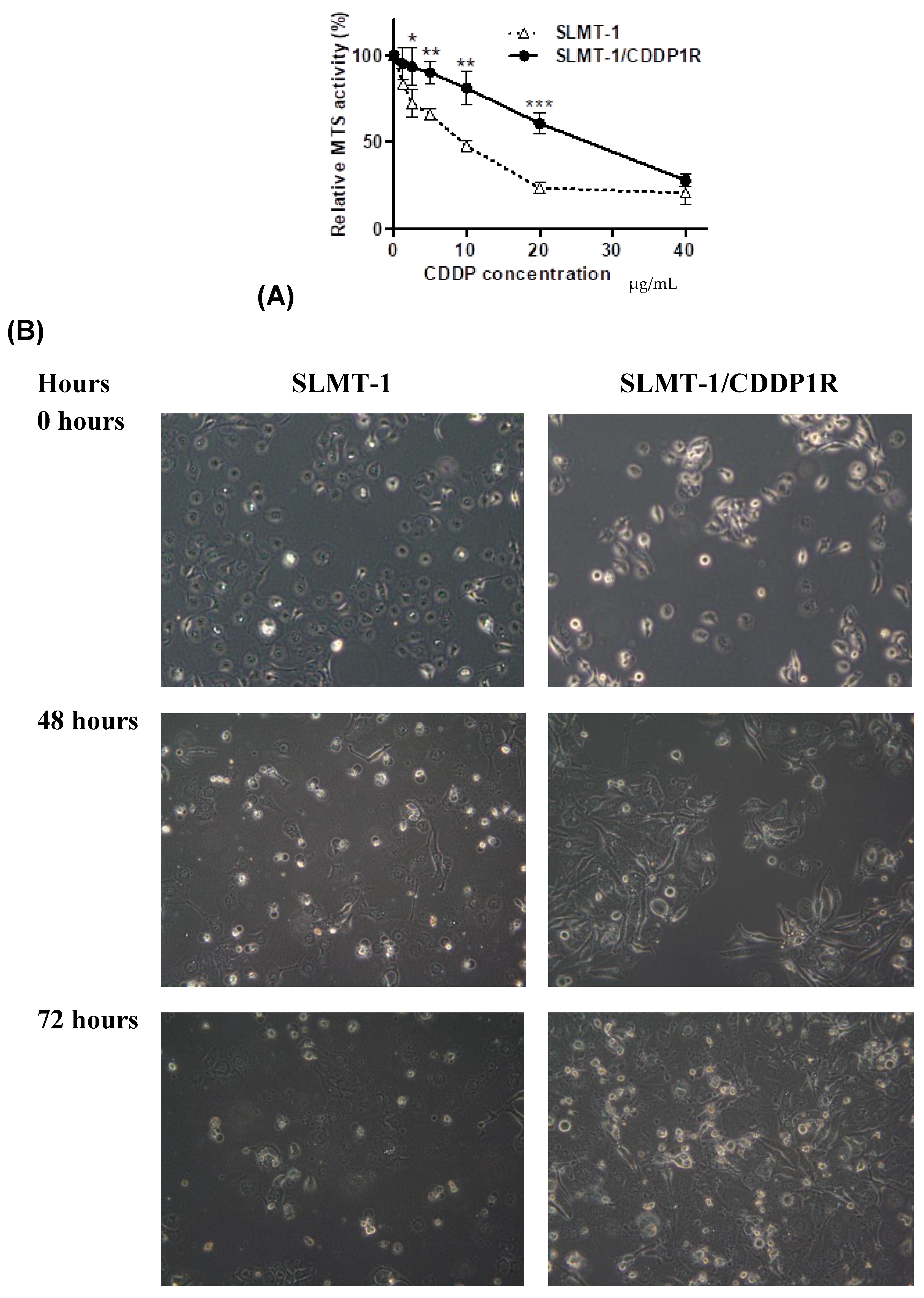 Cells 07 00143 g001a Cells 07 00143 g001a