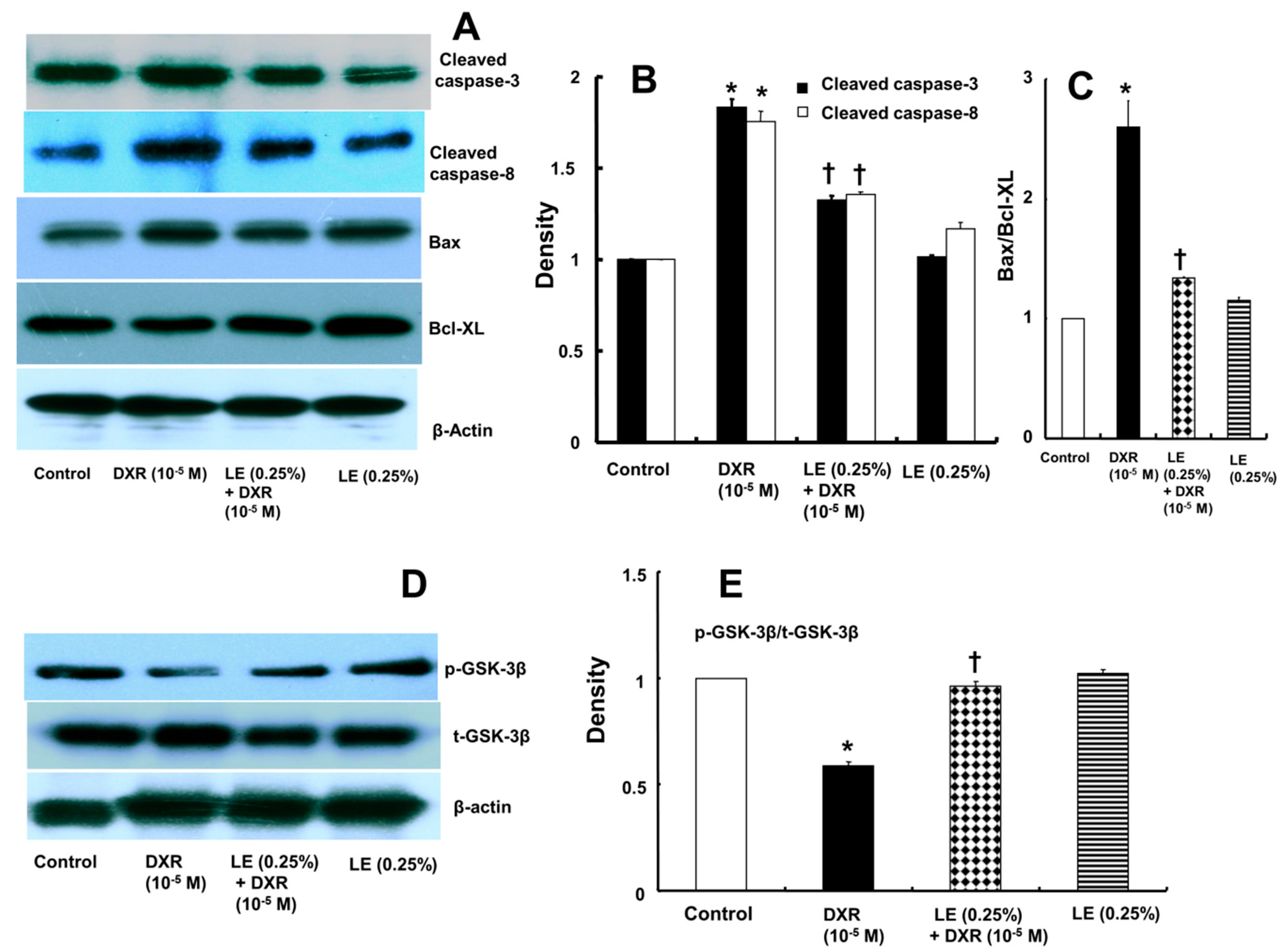 Cells 07 00144 g003 Cells 07 00144 g003