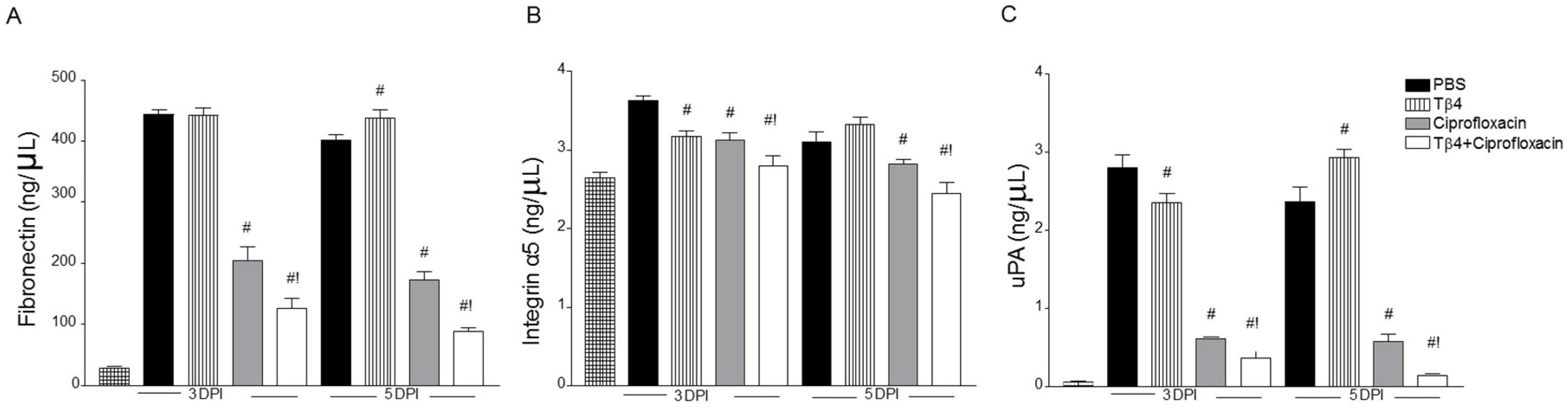 Cells 07 00145 g007 Cells 07 00145 g007
