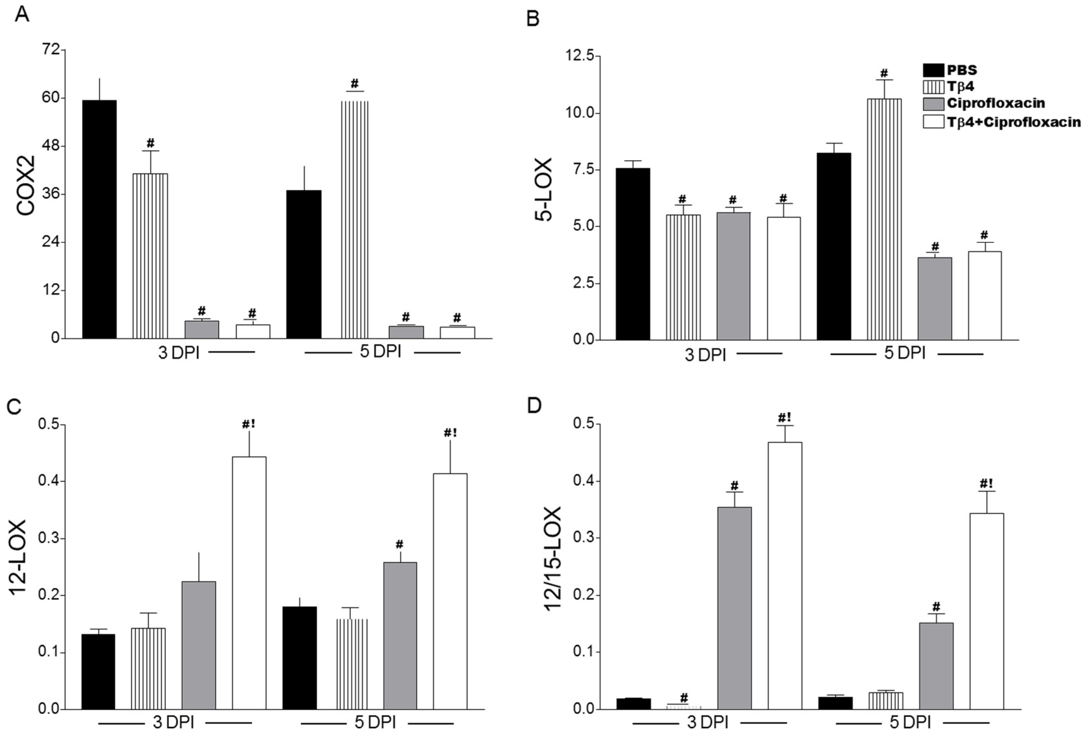 Cells 07 00145 g008 Cells 07 00145 g008