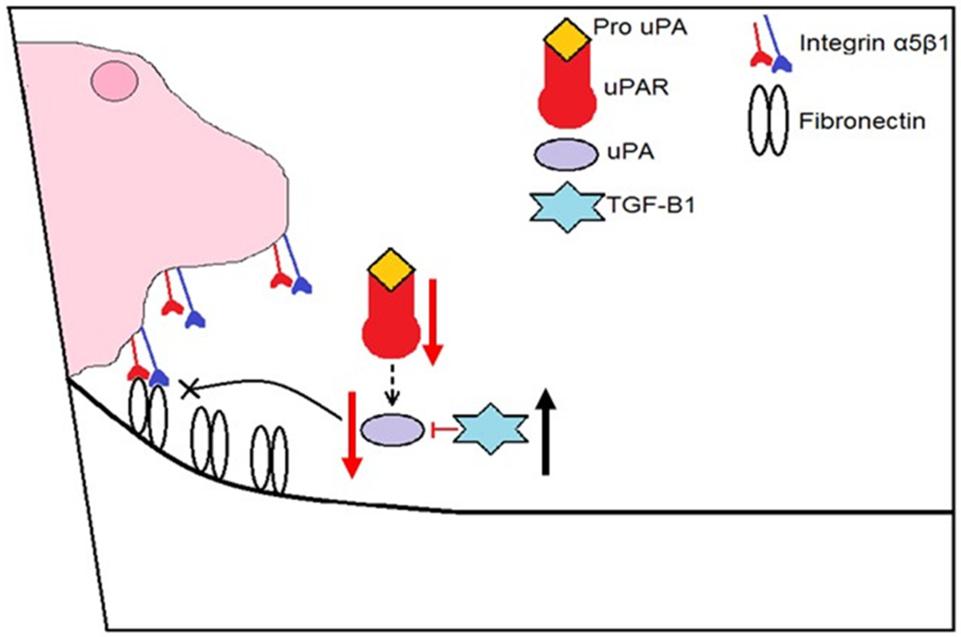 Cells 07 00145 g010 Cells 07 00145 g010