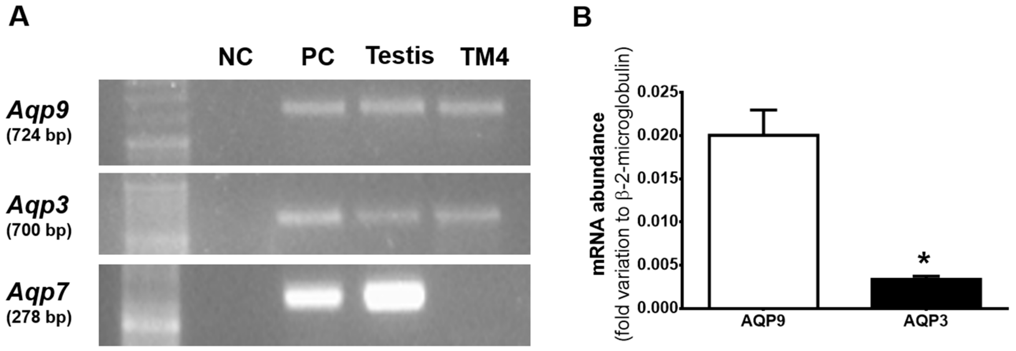 Cells 07 00153 g001