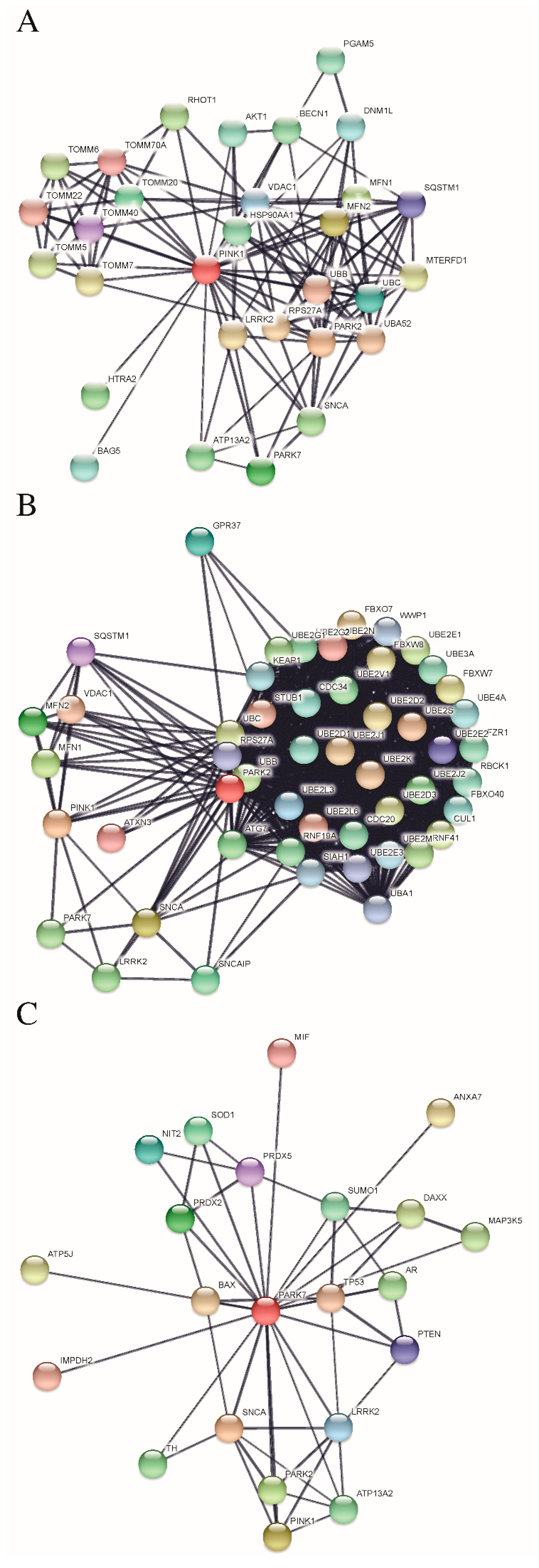Cells 07 00154 g004 Cells 07 00154 g004