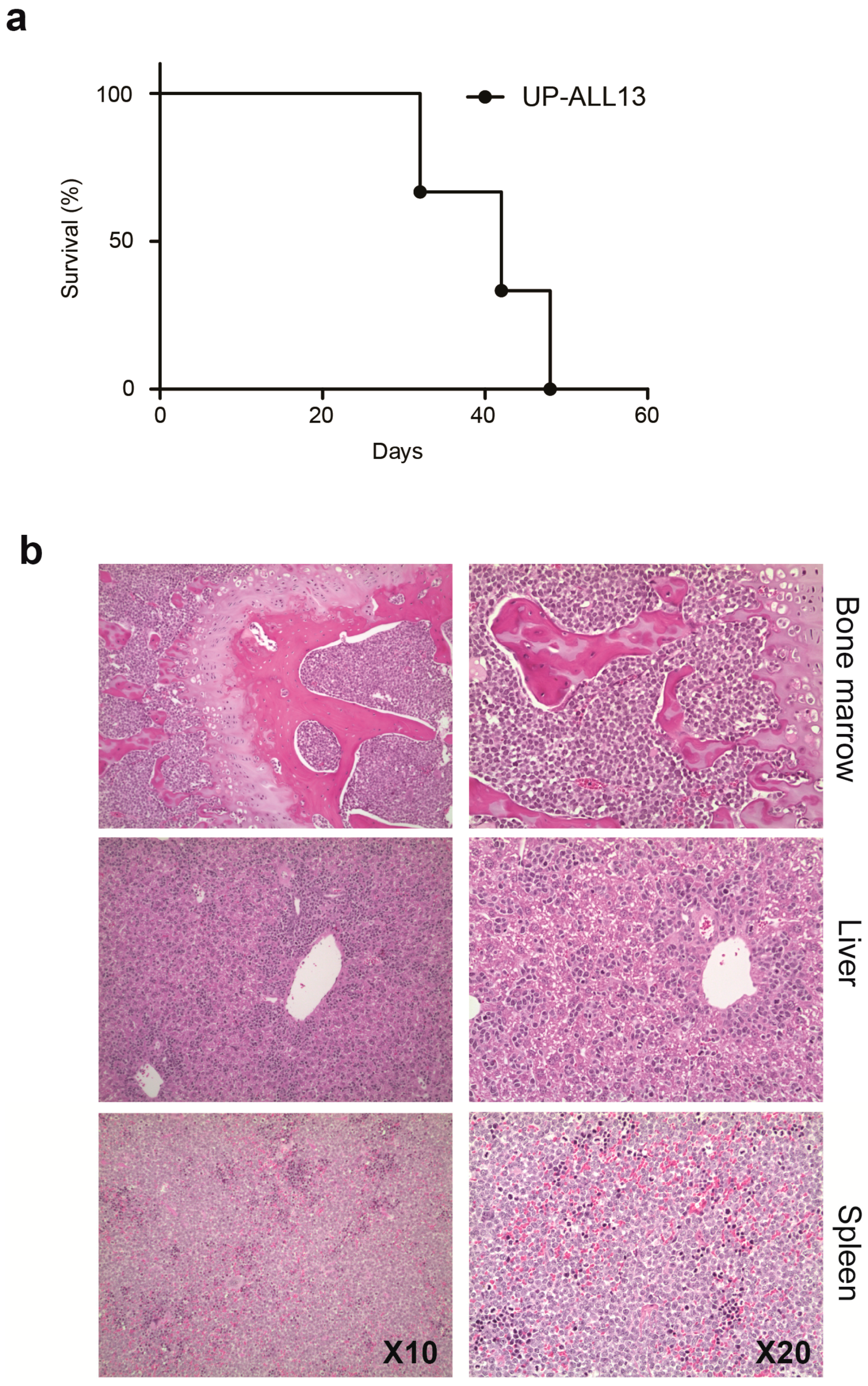 Cells 07 00160 g001