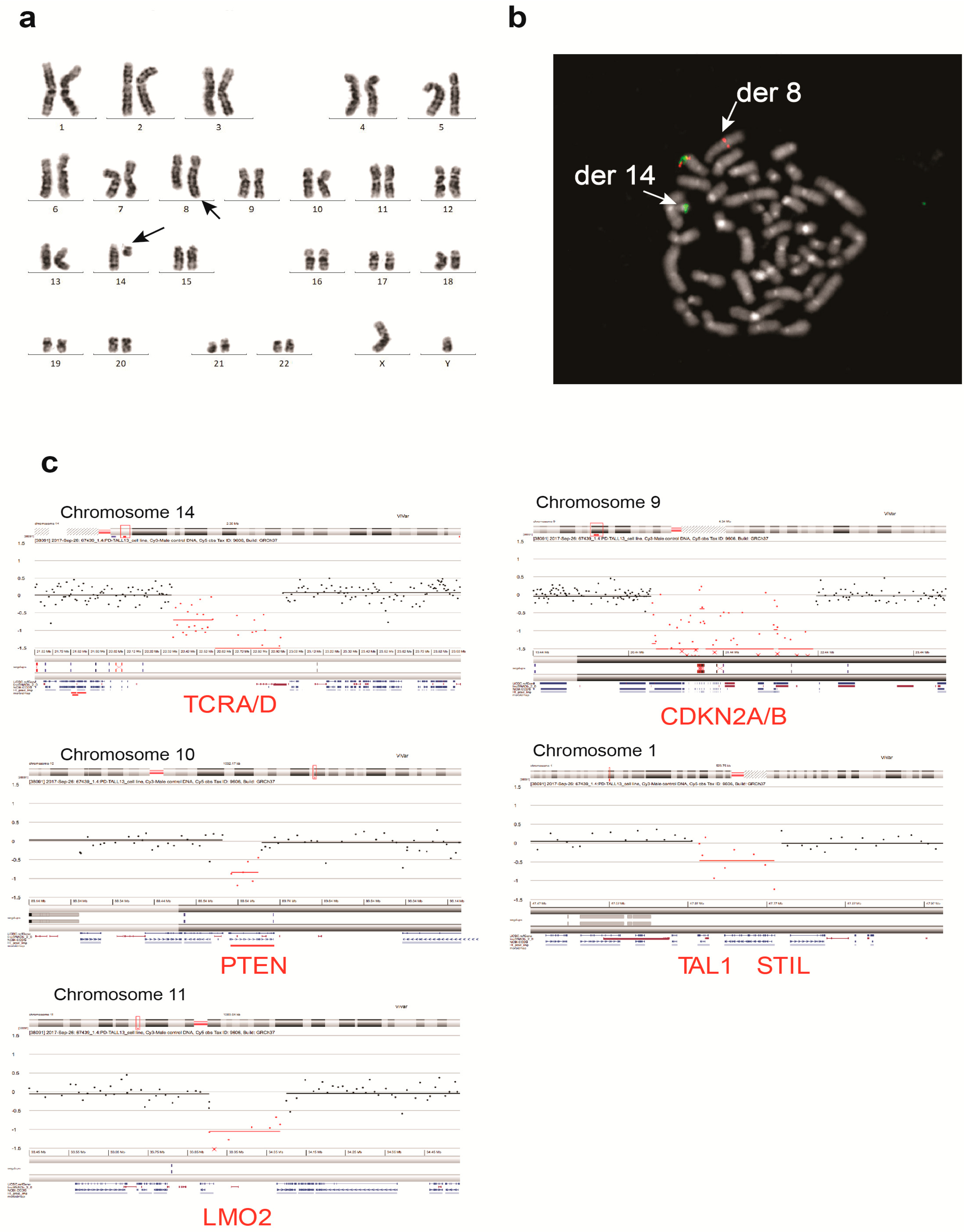 Cells 07 00160 g002