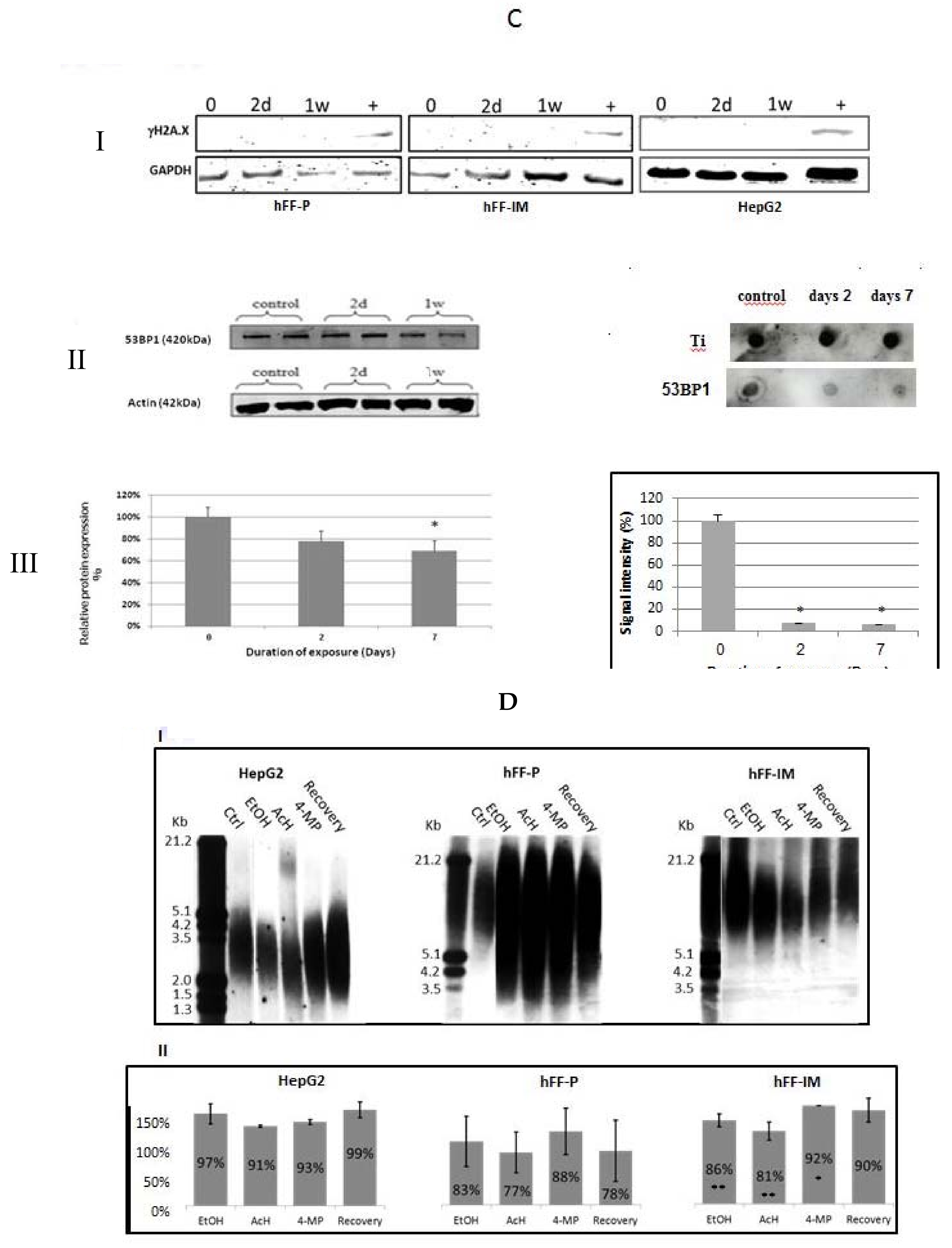Cells 07 00169 g004b