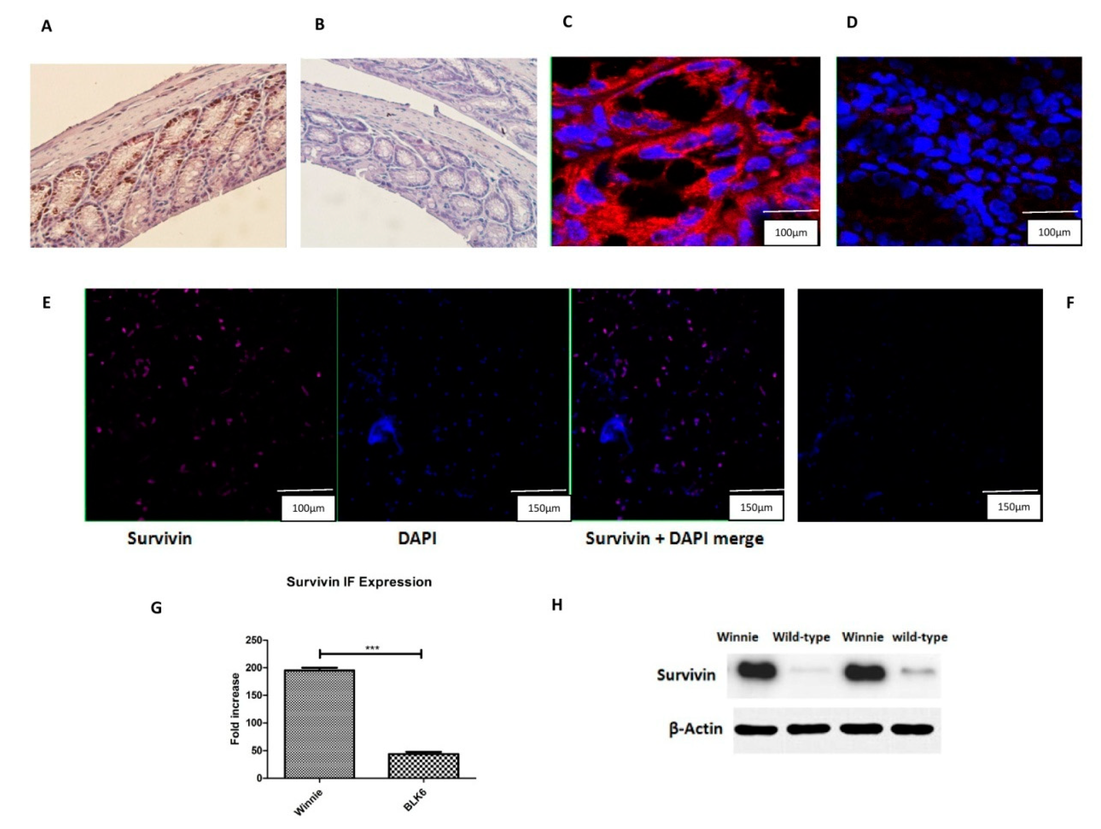 Cells 07 00171 g001
