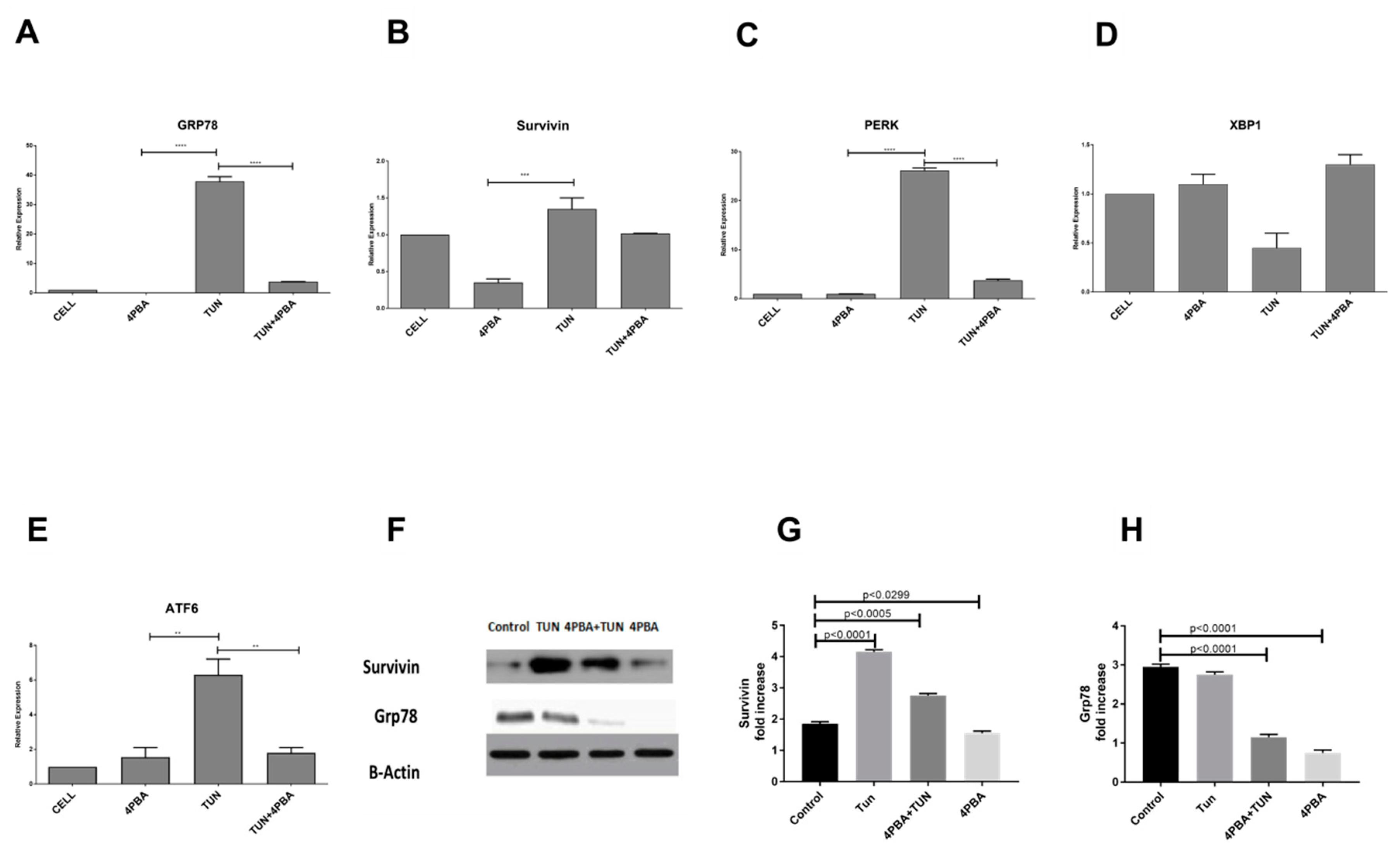 Cells 07 00171 g003