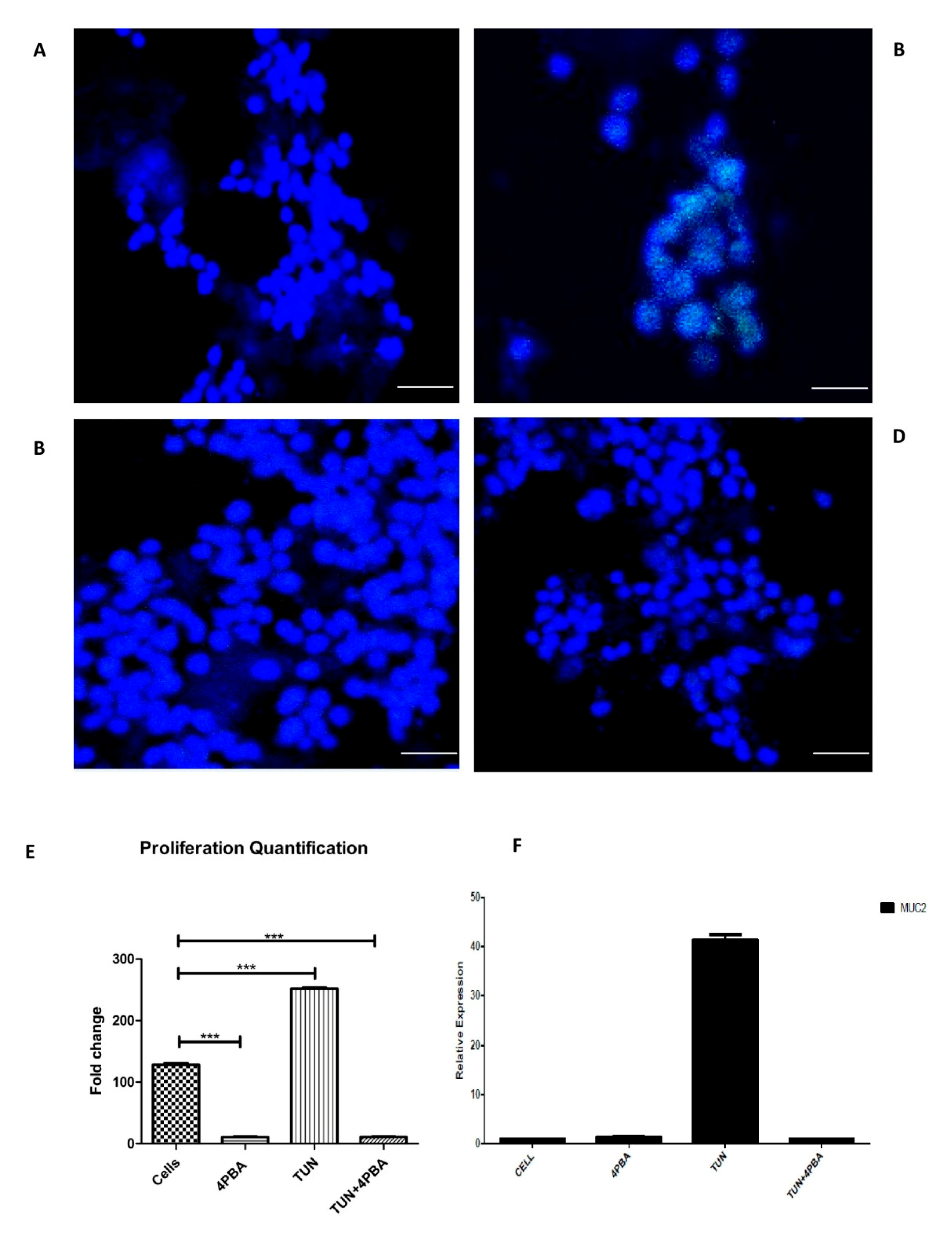 Cells 07 00171 g007
