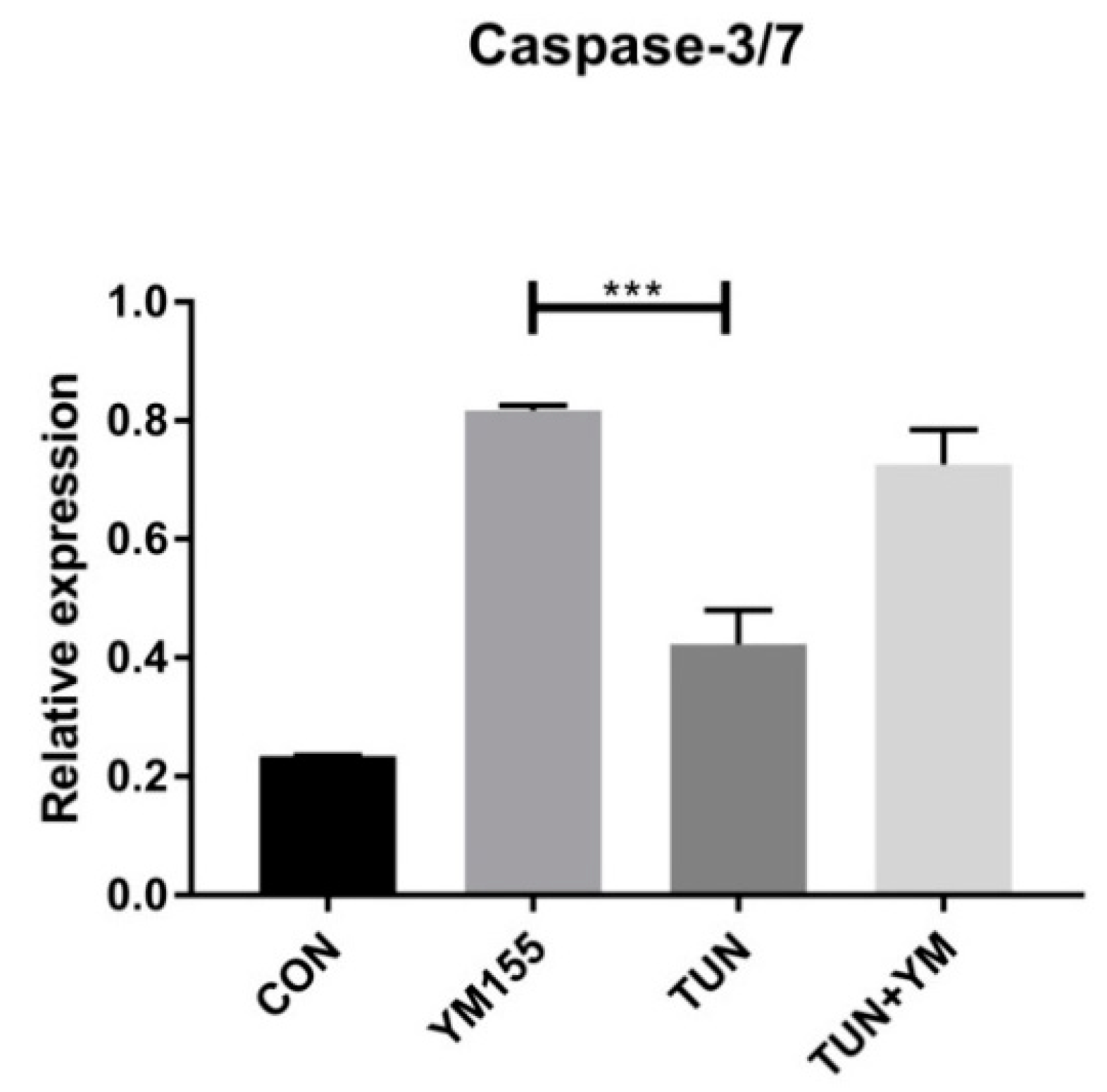 Cells 07 00171 g009