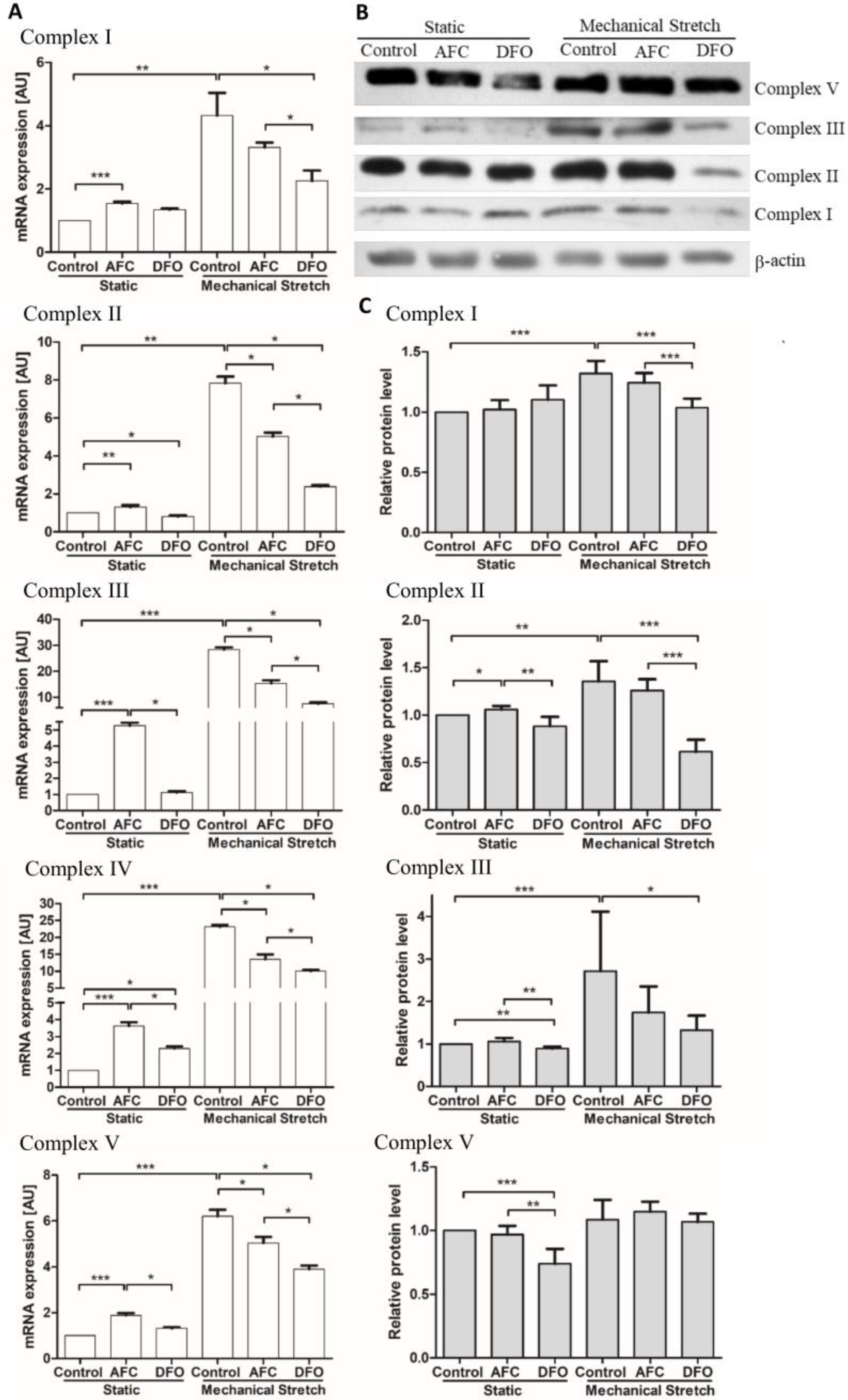 Cells 07 00175 g002