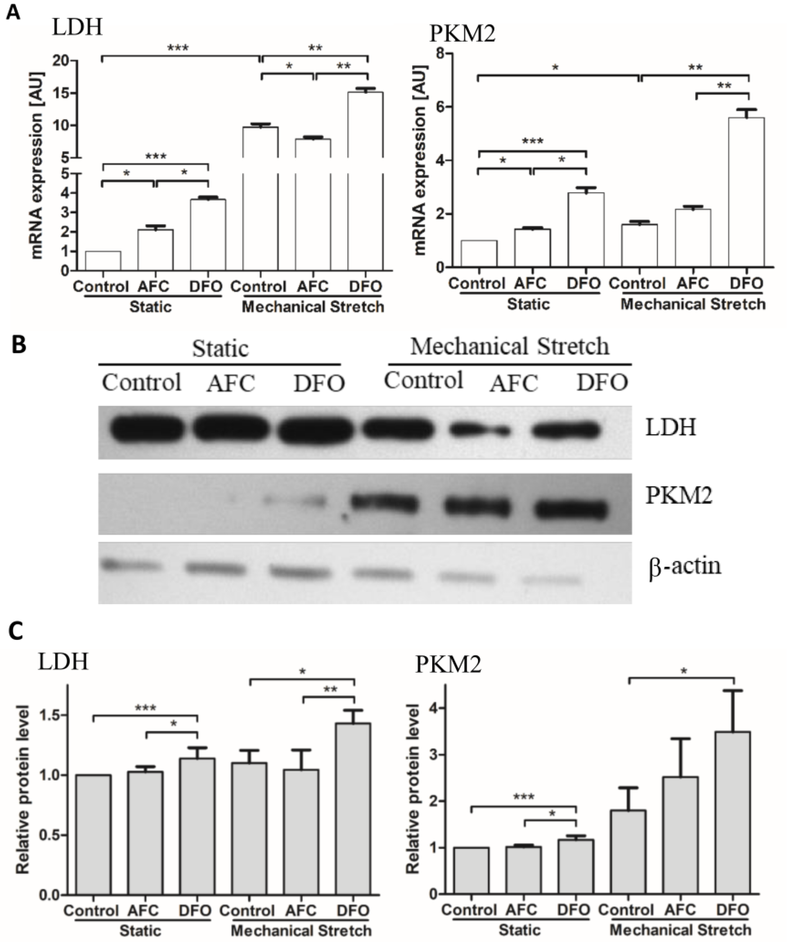 Cells 07 00175 g003