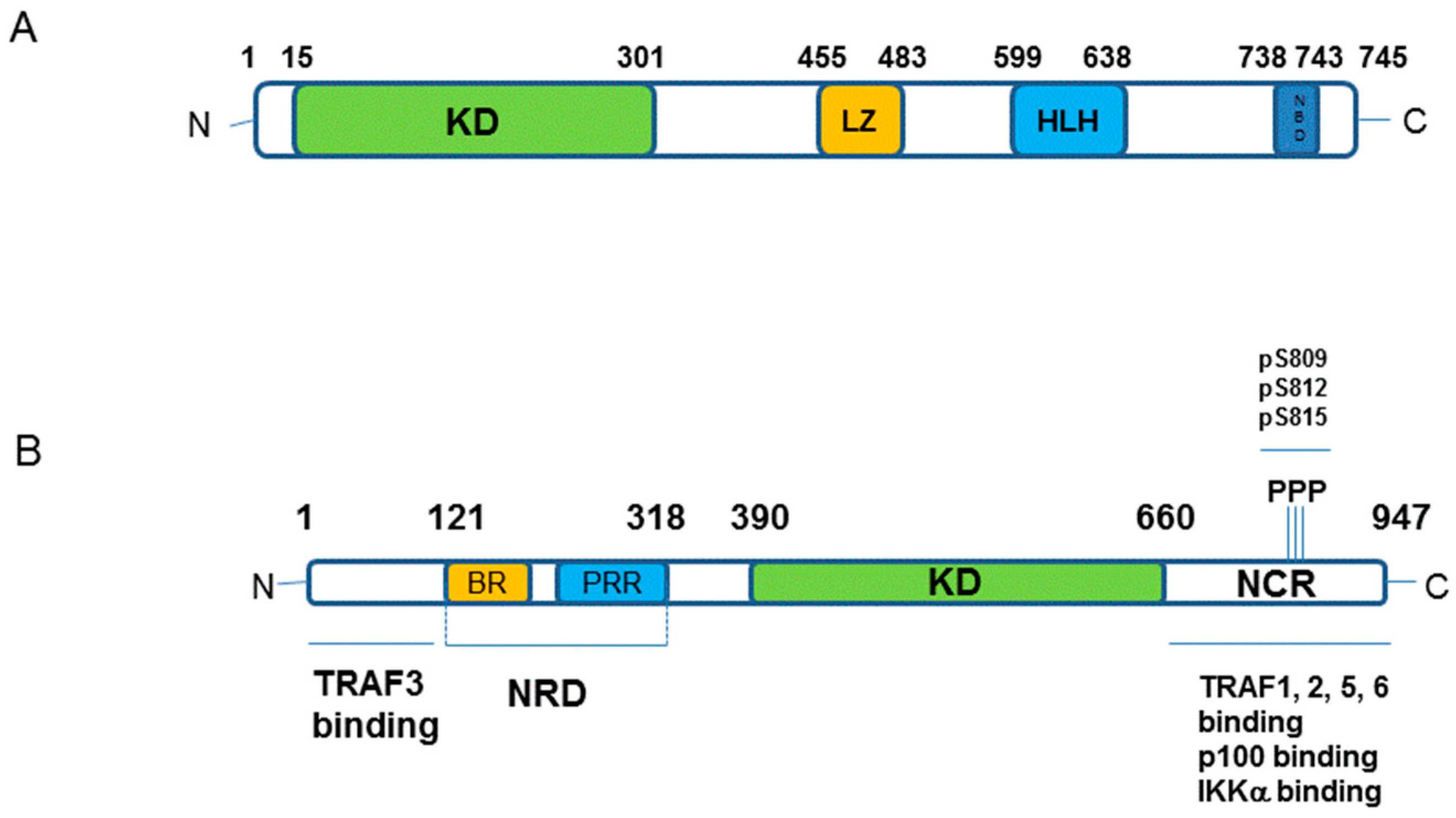 Cells 07 00176 g002