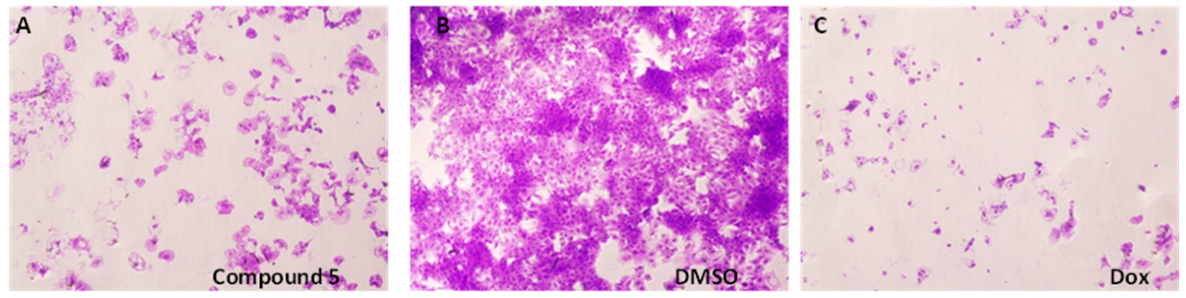 Cells 07 00177 g003