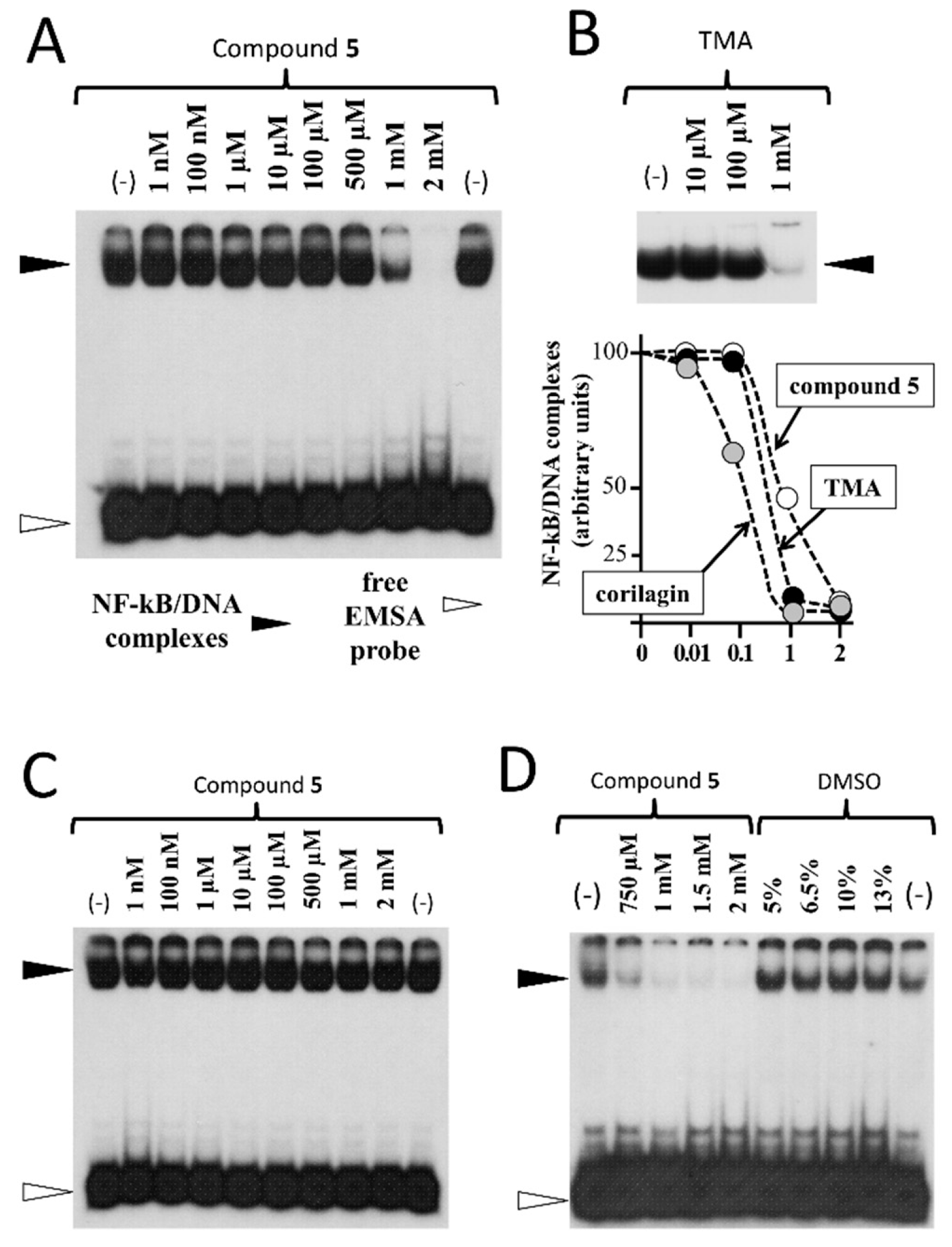 Cells 07 00177 g006