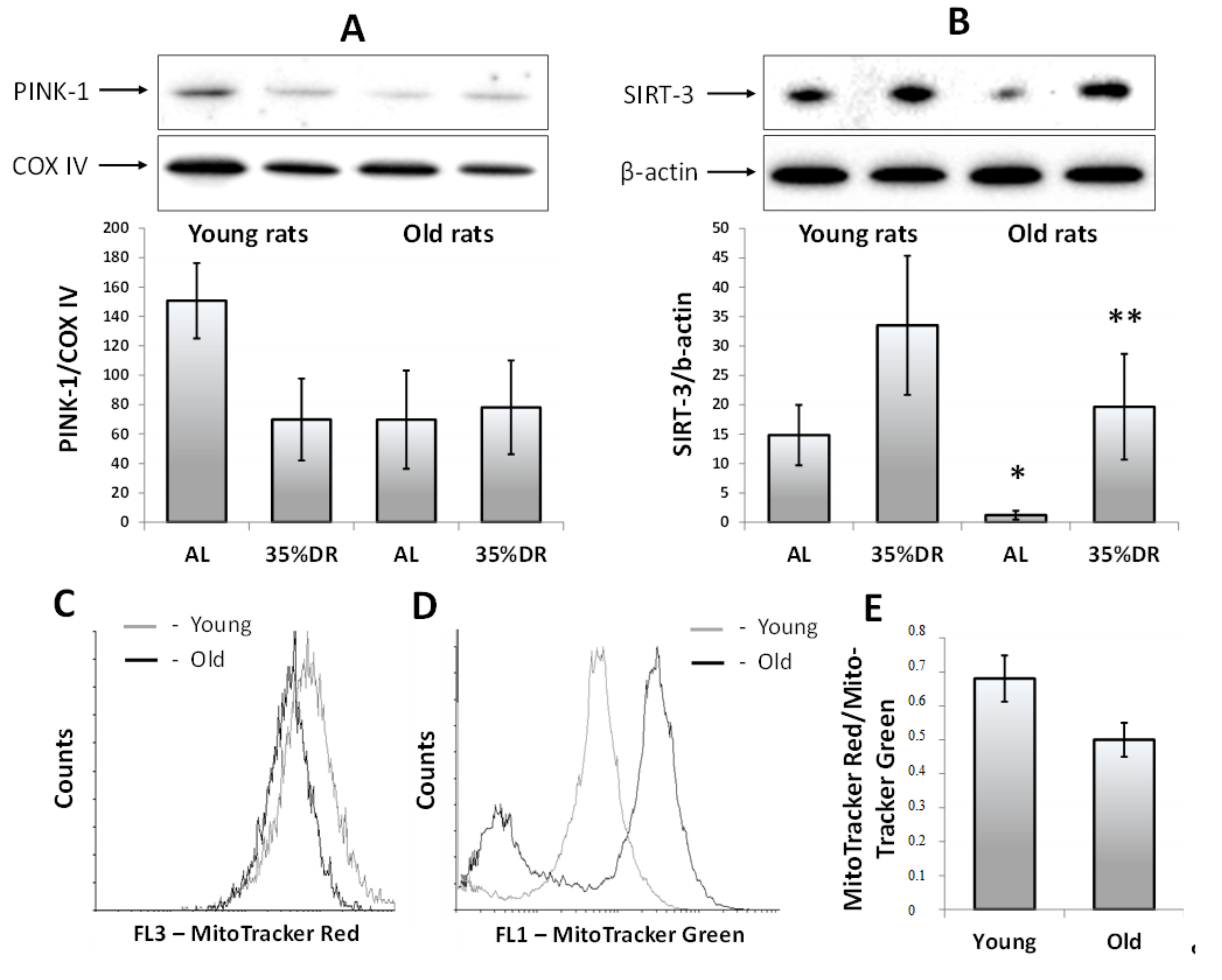 Cells 07 00178 g004