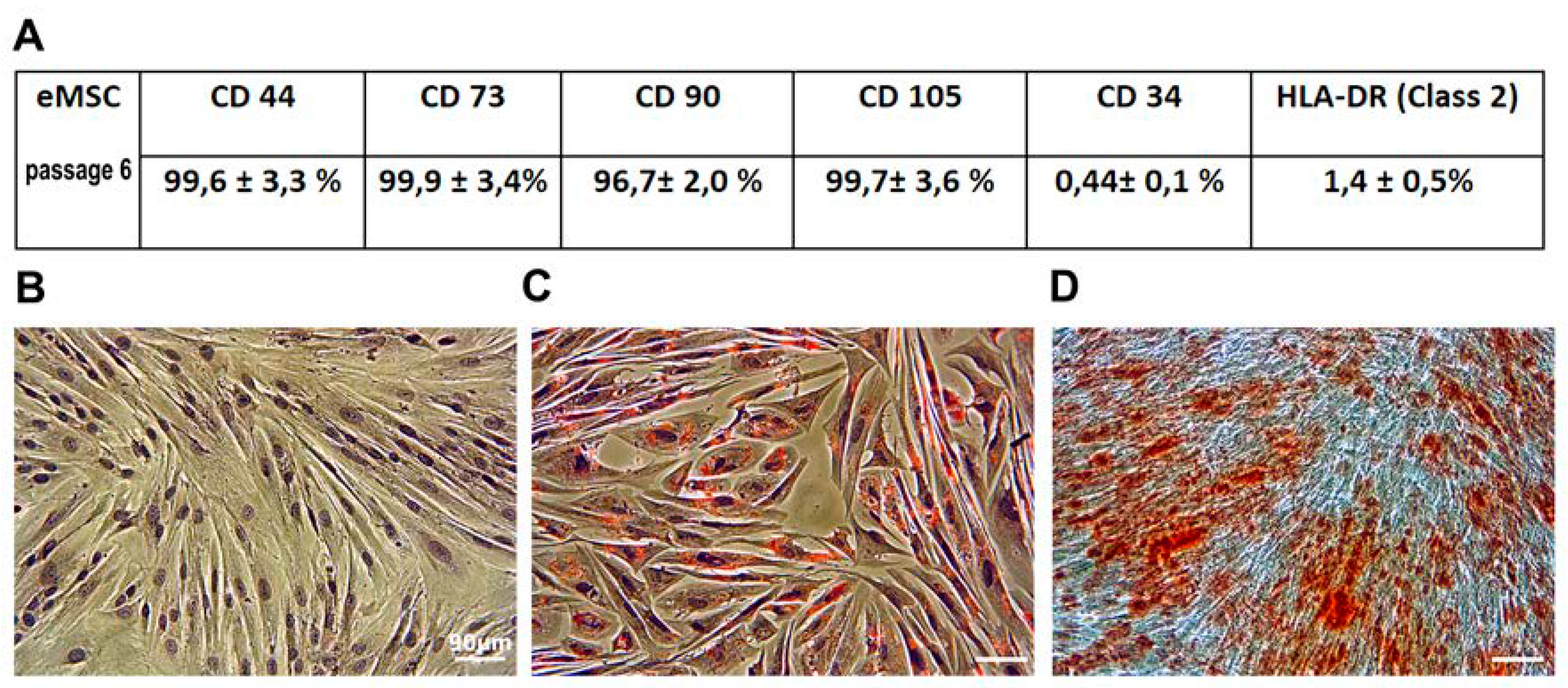 Cells 07 00184 g001 Cells 07 00184 g001