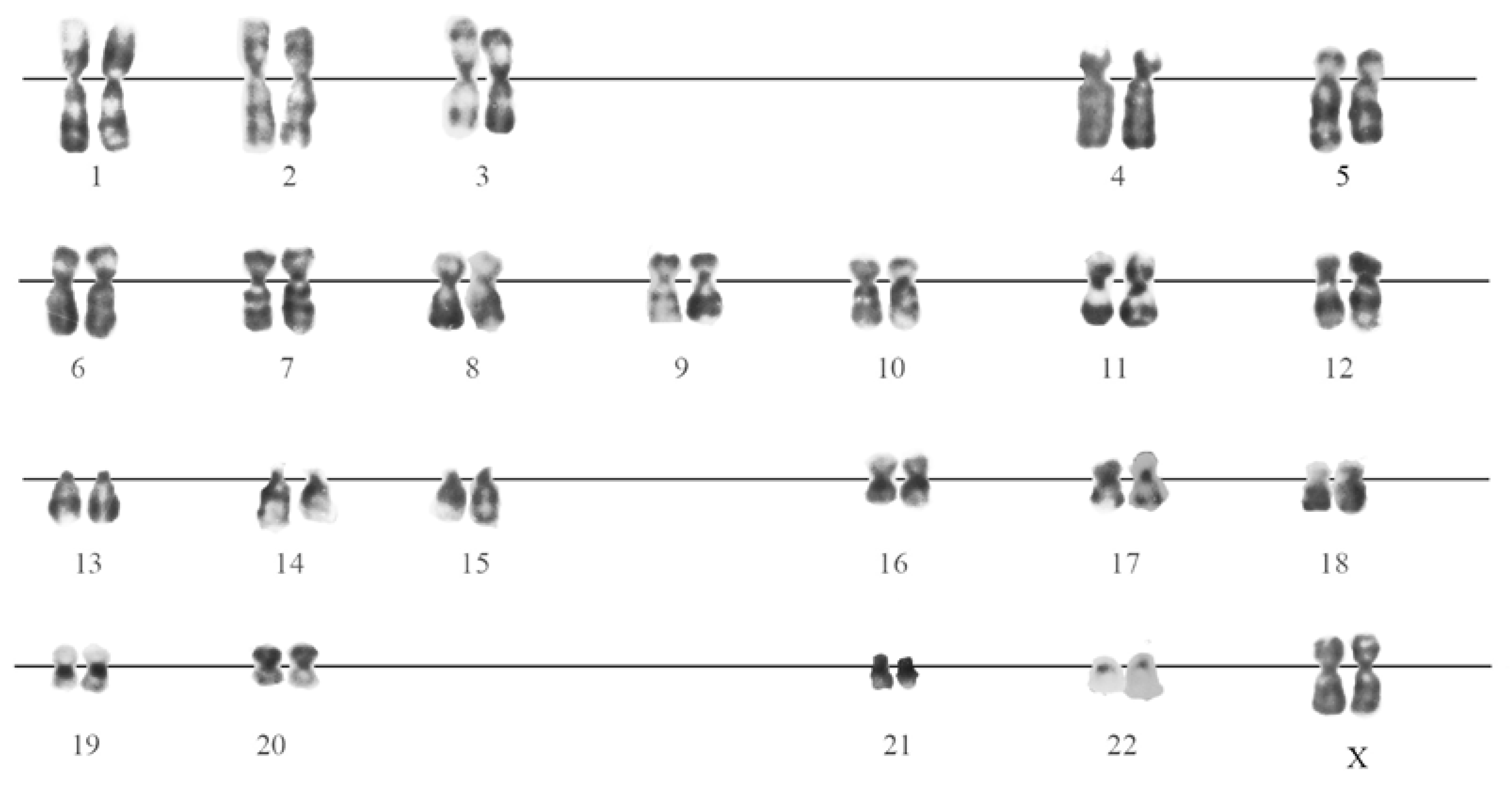 Cells 07 00184 g002 Cells 07 00184 g002