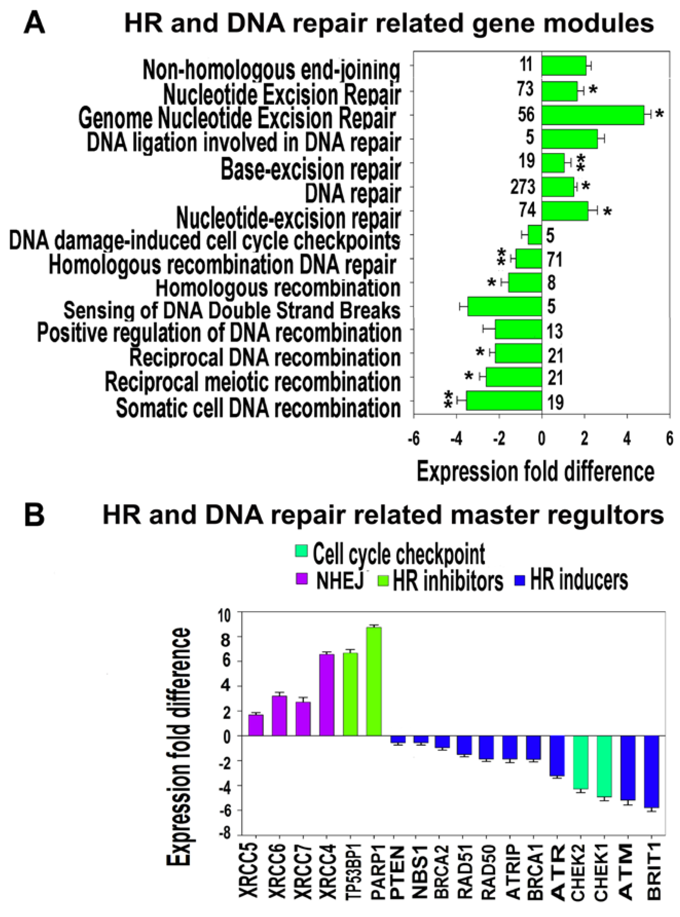 Cells 07 00184 g005 Cells 07 00184 g005