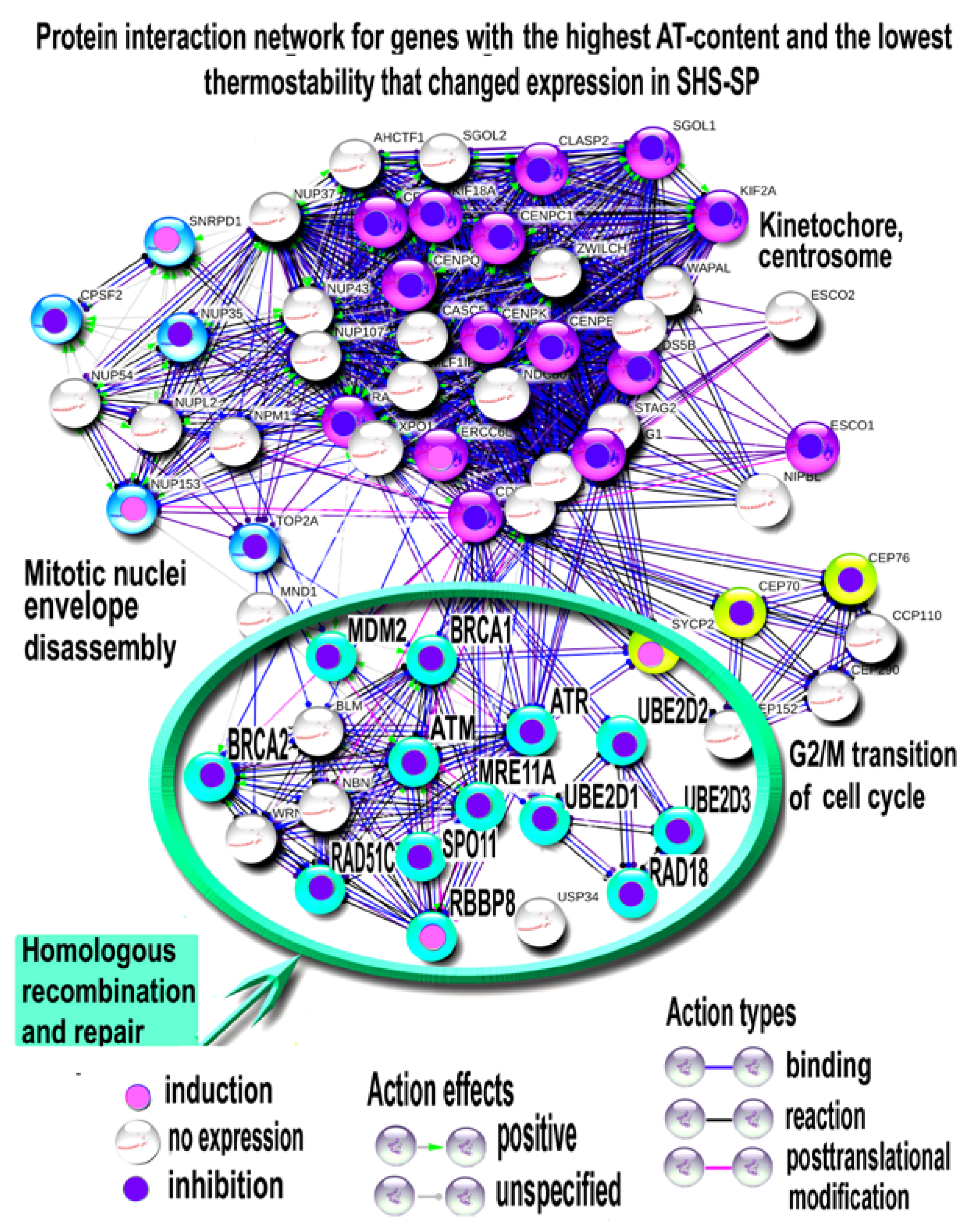 Cells 07 00184 g007 Cells 07 00184 g007