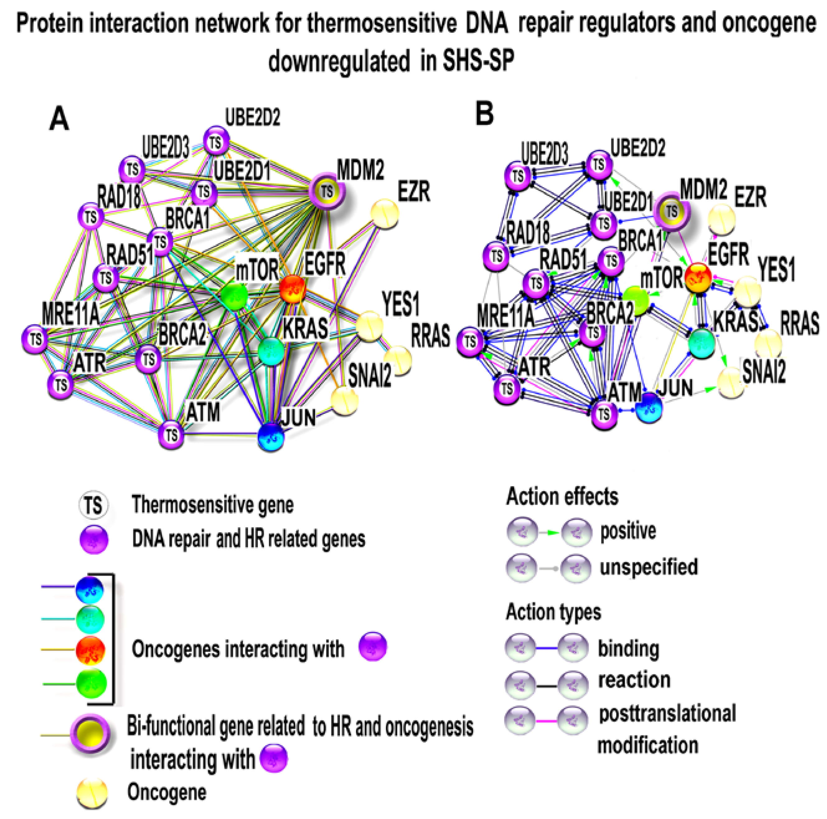 Cells 07 00184 g008 Cells 07 00184 g008