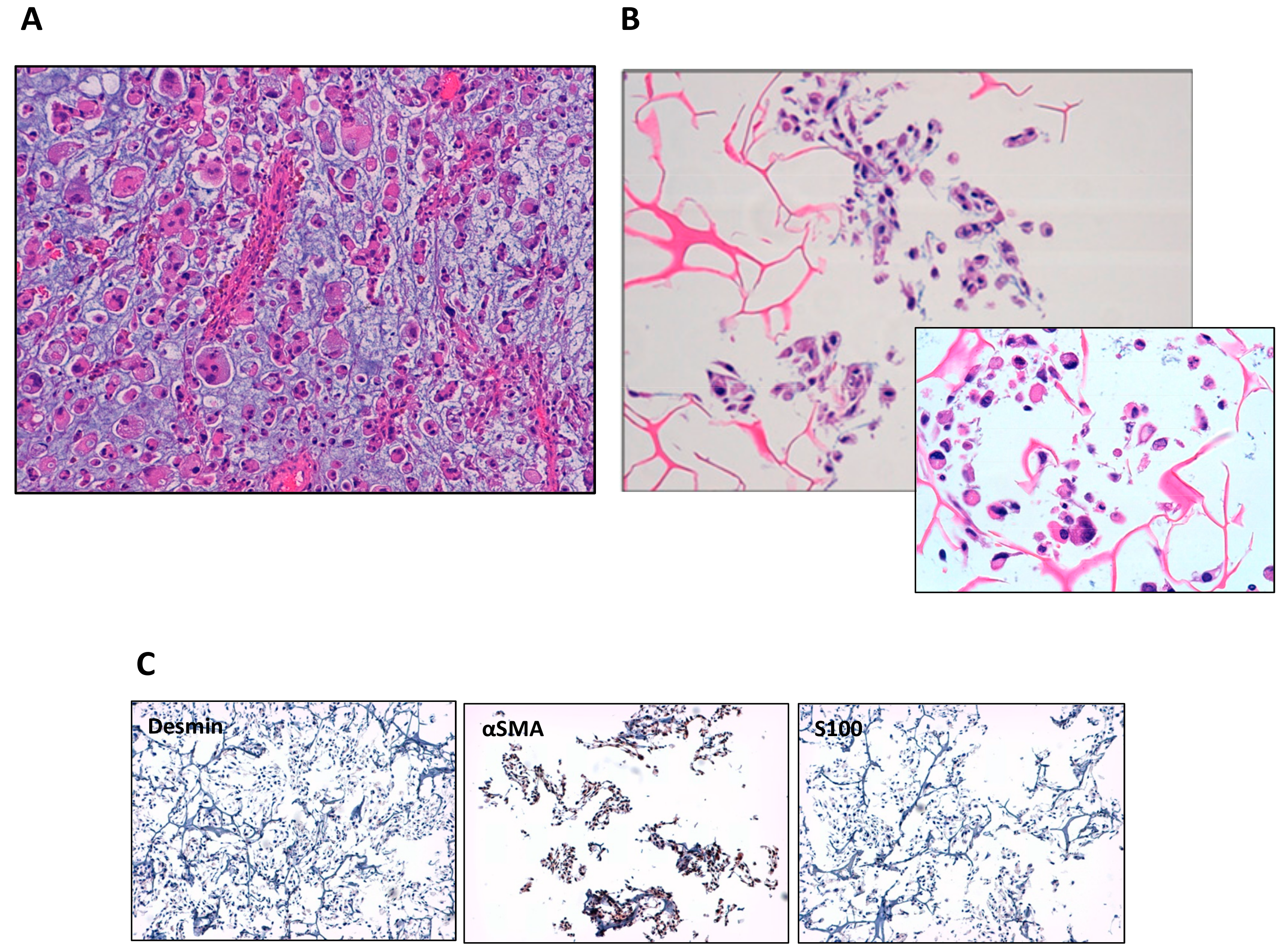 Cells 07 00186 g001