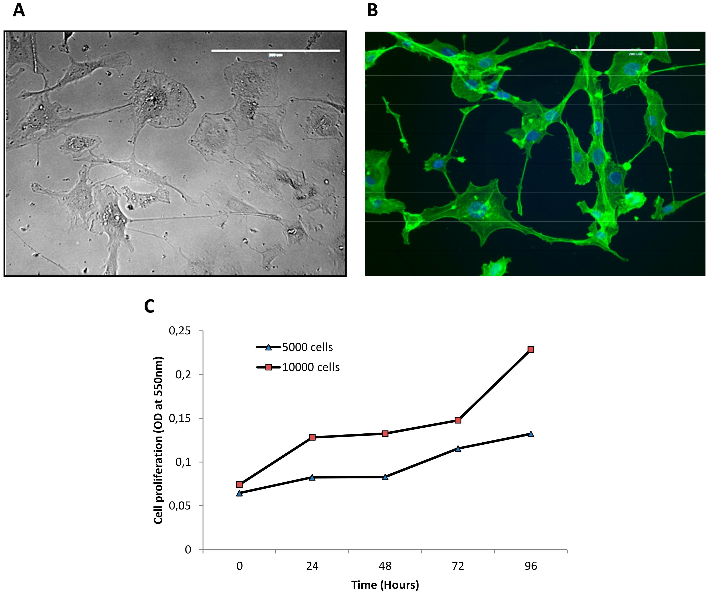Cells 07 00186 g002