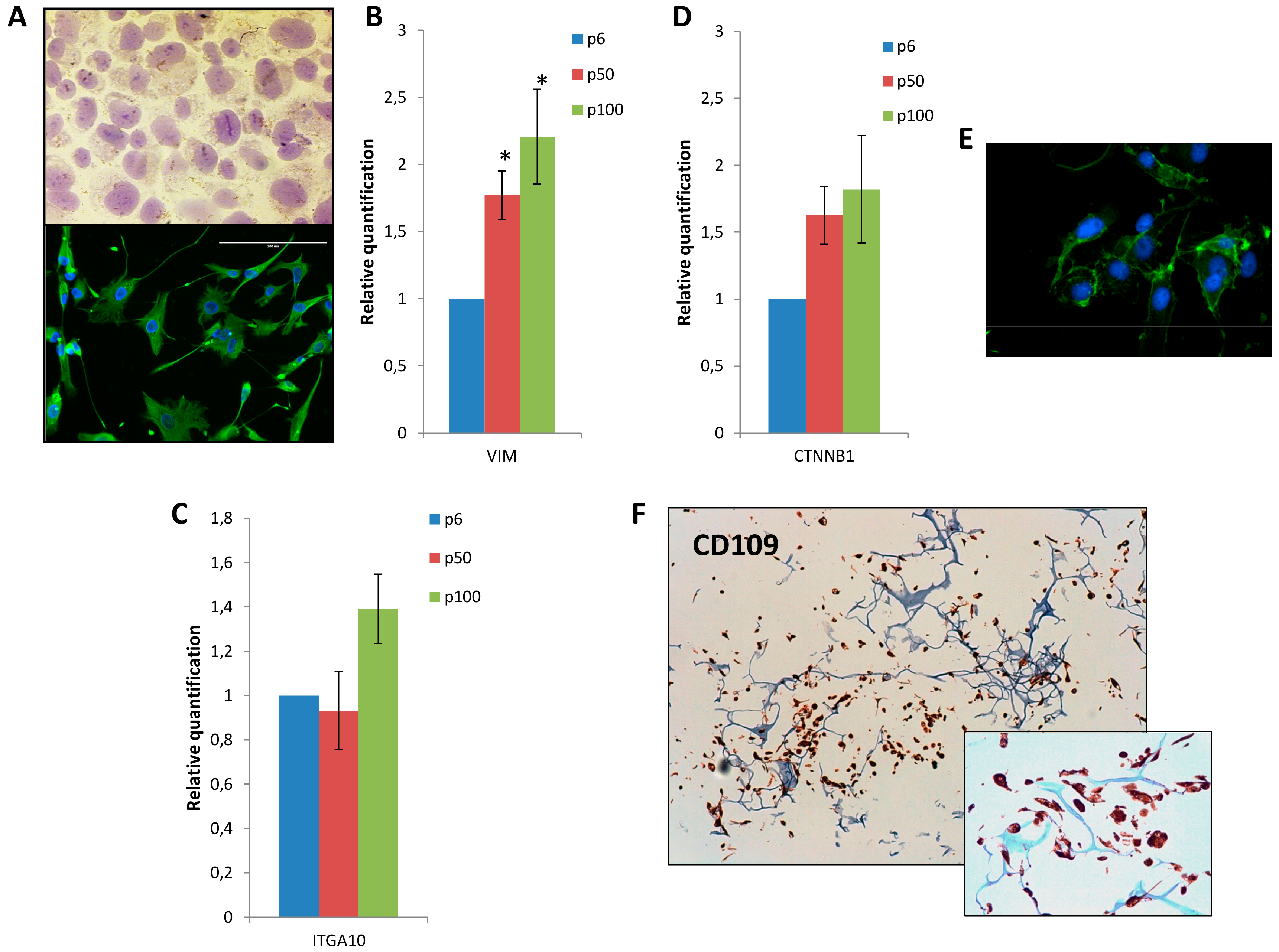 Cells 07 00186 g003