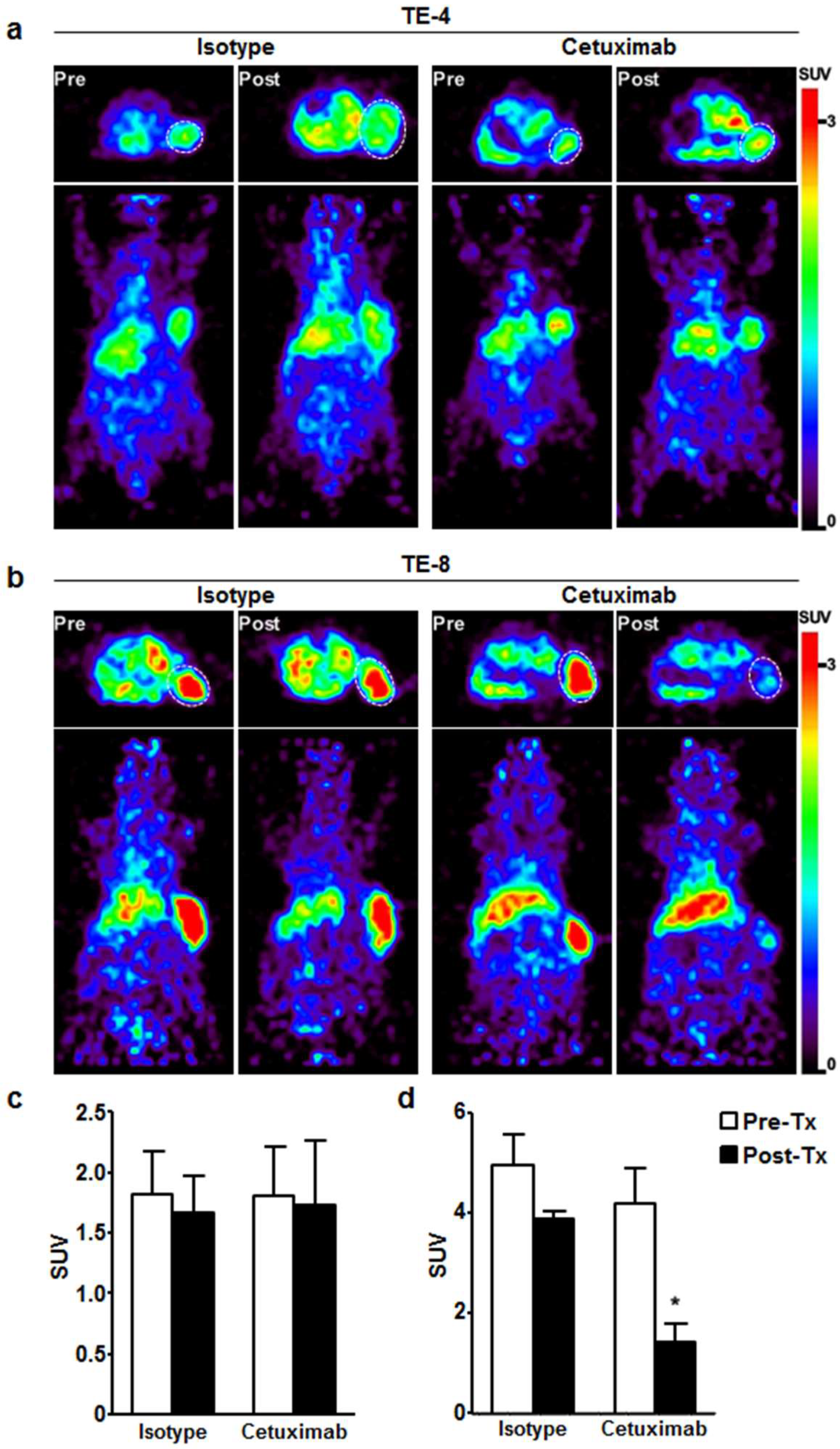 Cells 07 00187 g005
