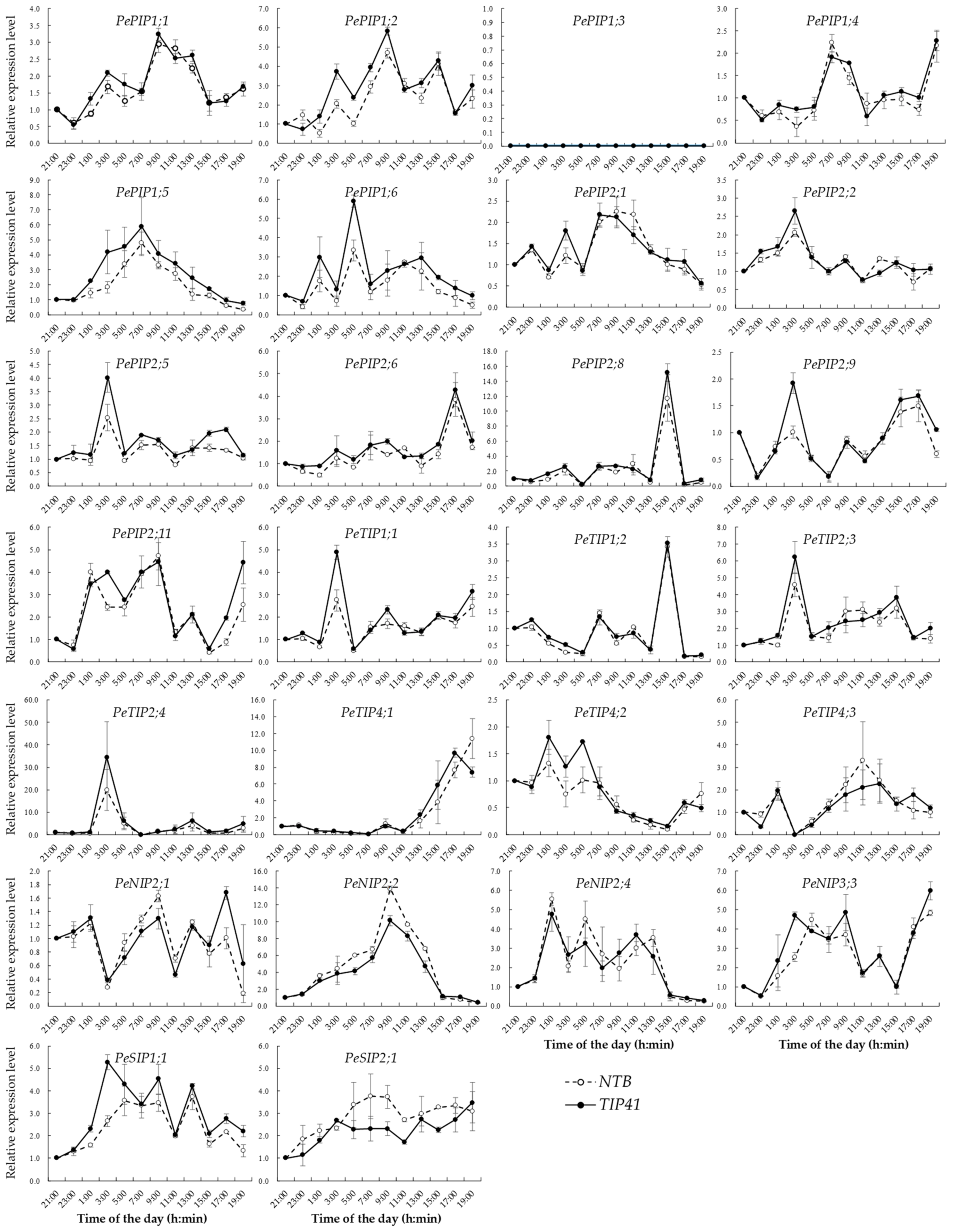 Cells 07 00195 g005 Cells 07 00195 g005