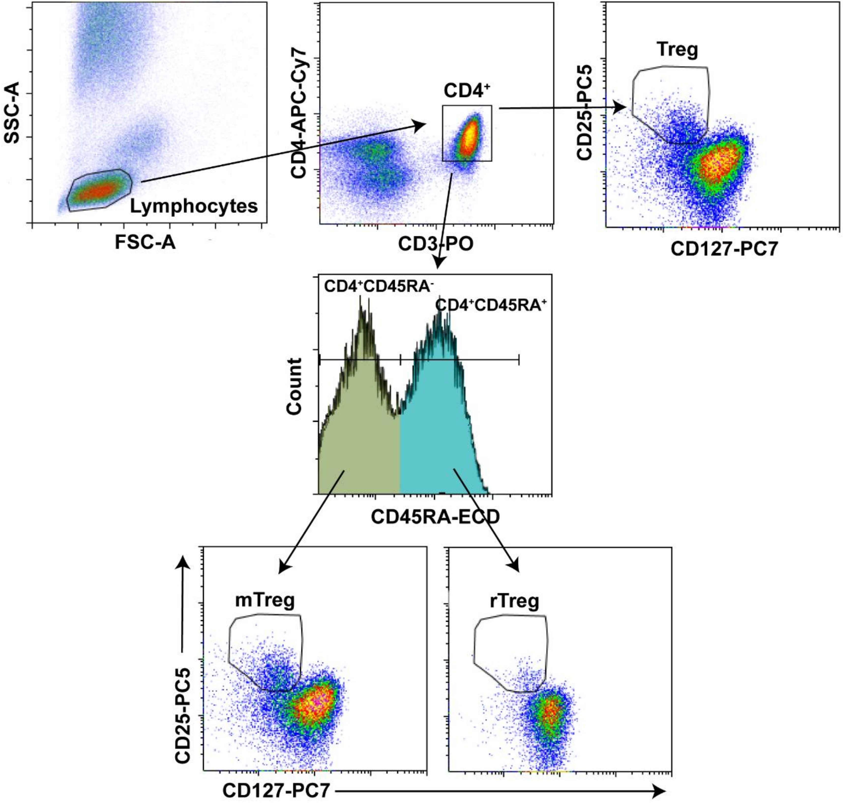 Cells 07 00196 g001 Cells 07 00196 g001